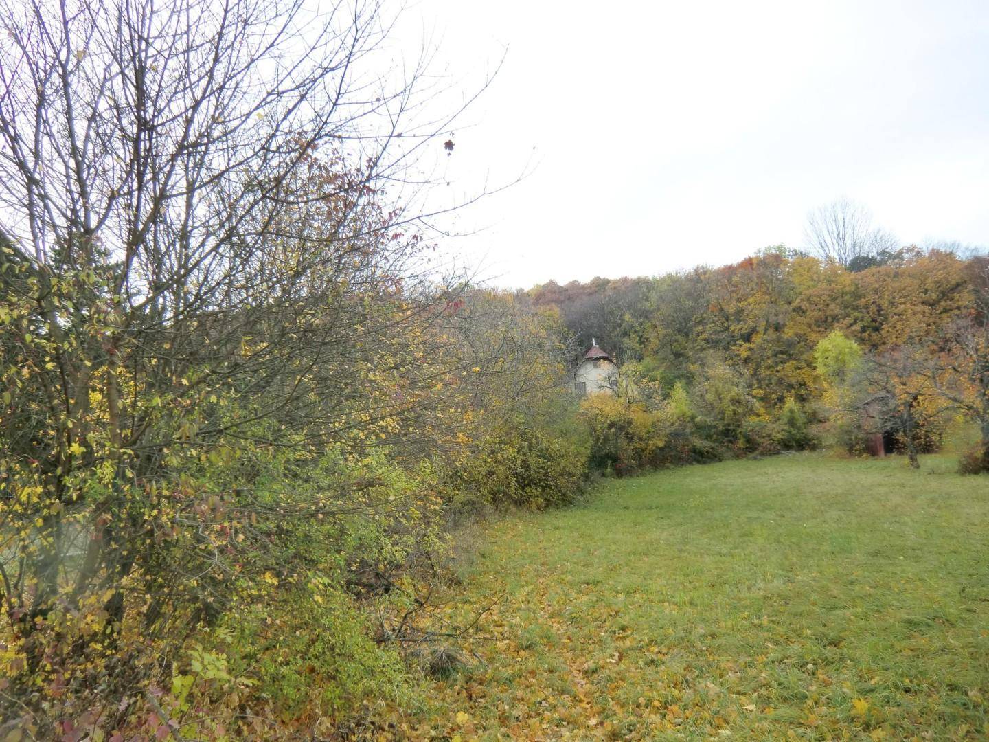 Blick nach oben zu Wald