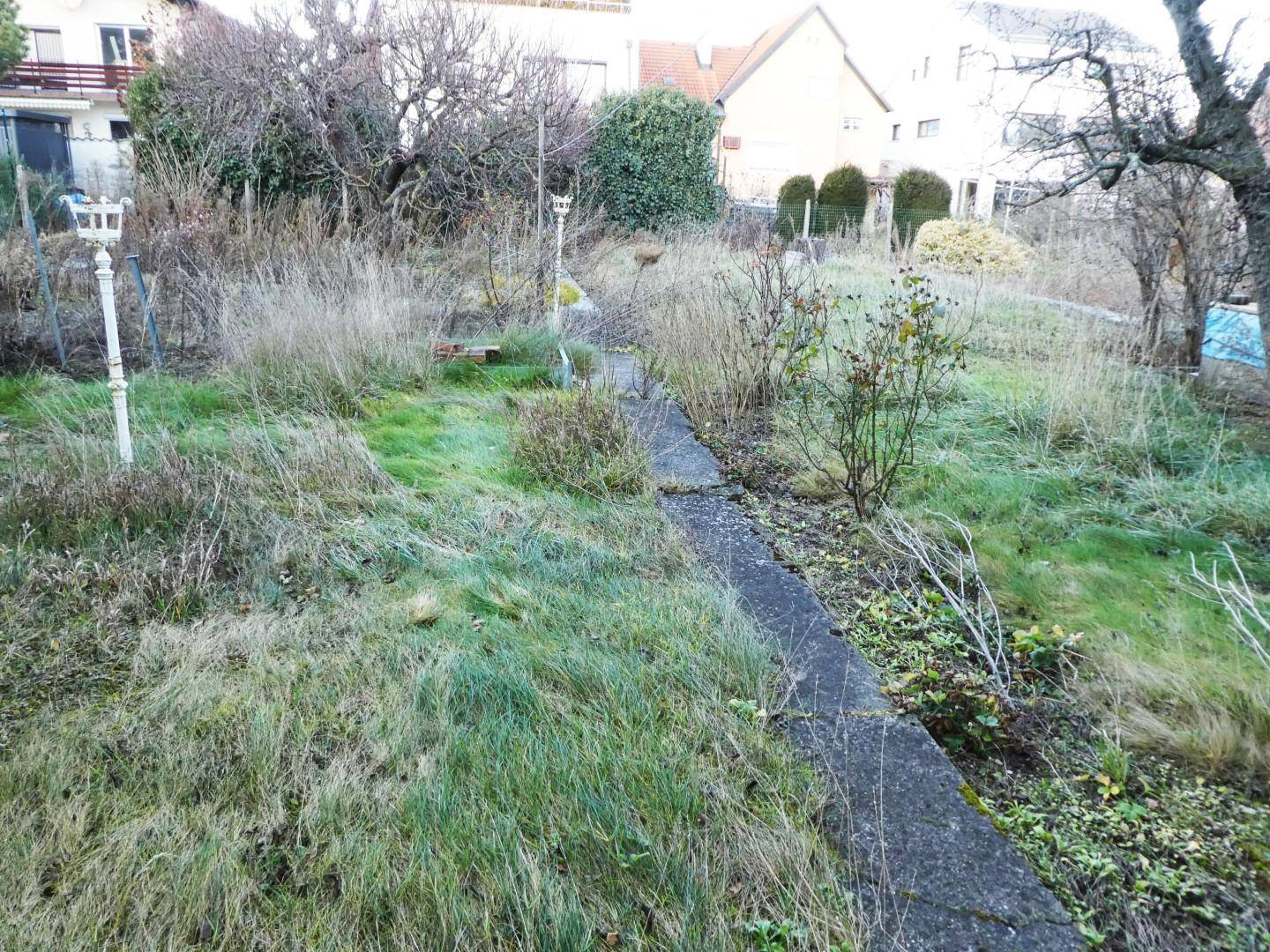 Blick vom Haus in den Garten