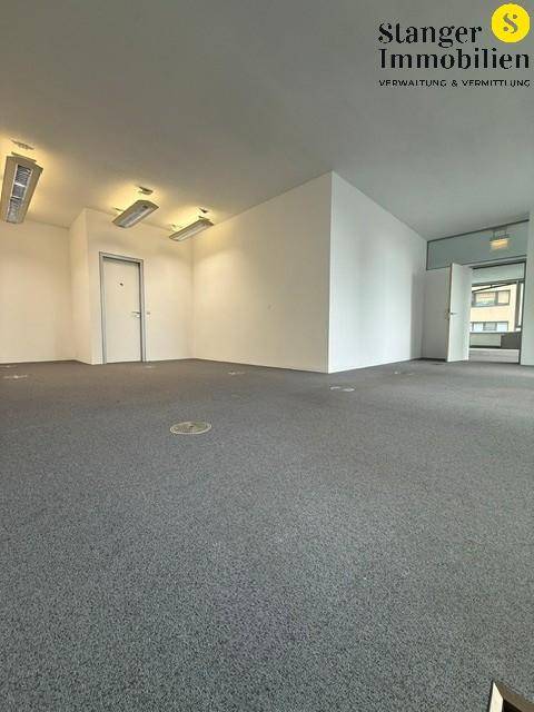 Leerer Büroraum mit grauem Teppichboden, weißen Wänden und Deckenleuchten, bereit zur Einrichtung.