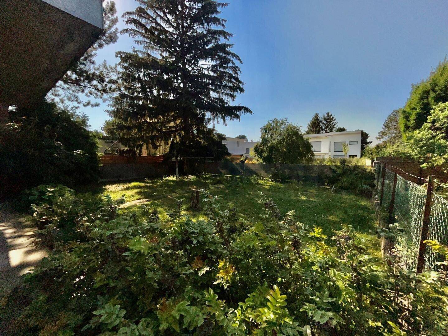 Sonniger Gartenbereich mit üppiger Vegetation und Blick auf die umliegende Landschaft.