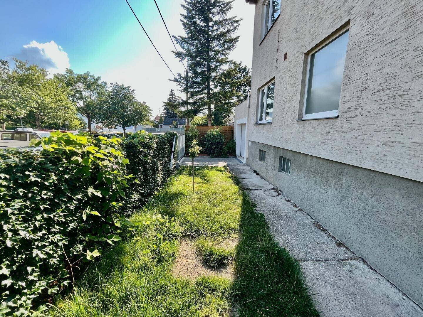 Schmaler Gartenstreifen entlang der Hauswand mit üppiger Begrünung und sonnigem Ambiente.