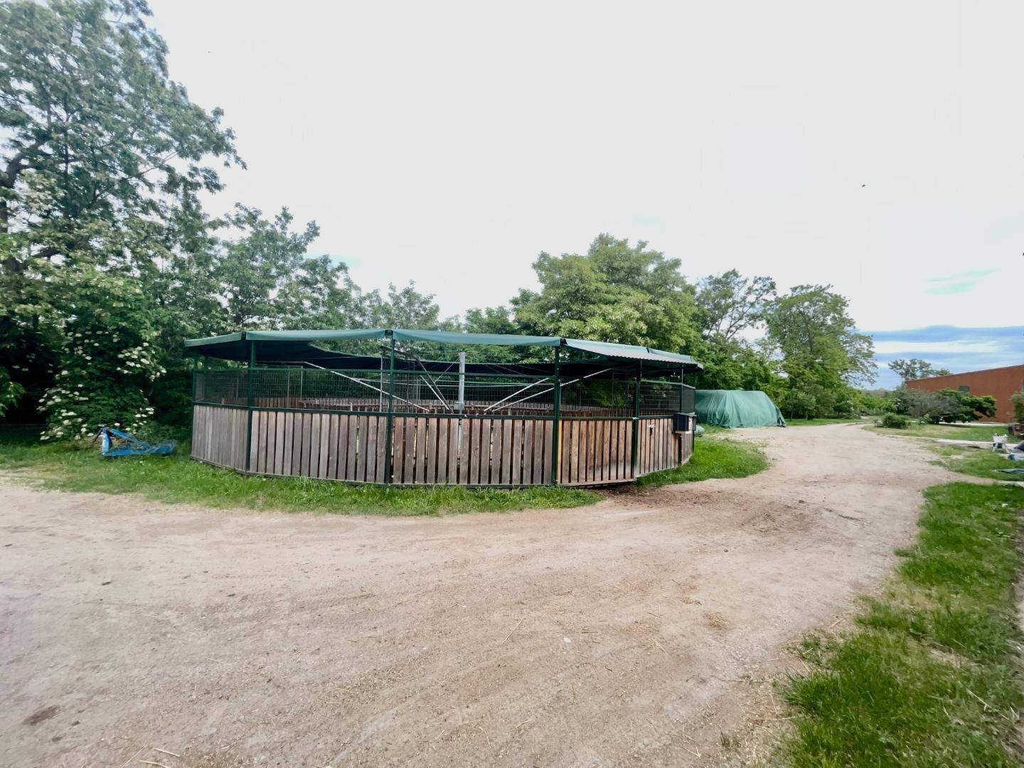 Runder Pferde-Führanlage im Freien aus Holz und Metall, umgeben von Bäumen und einem Feldweg.