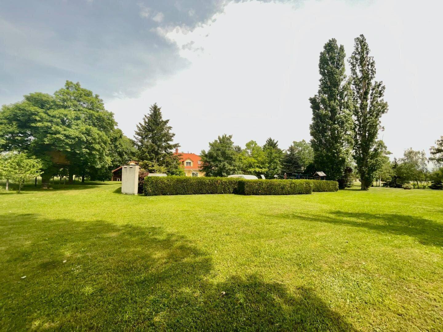 Gepflegter großer Gartenbereich mit weitläufigem Rasen, hohen Bäumen und einer Hecke im Hintergrund.