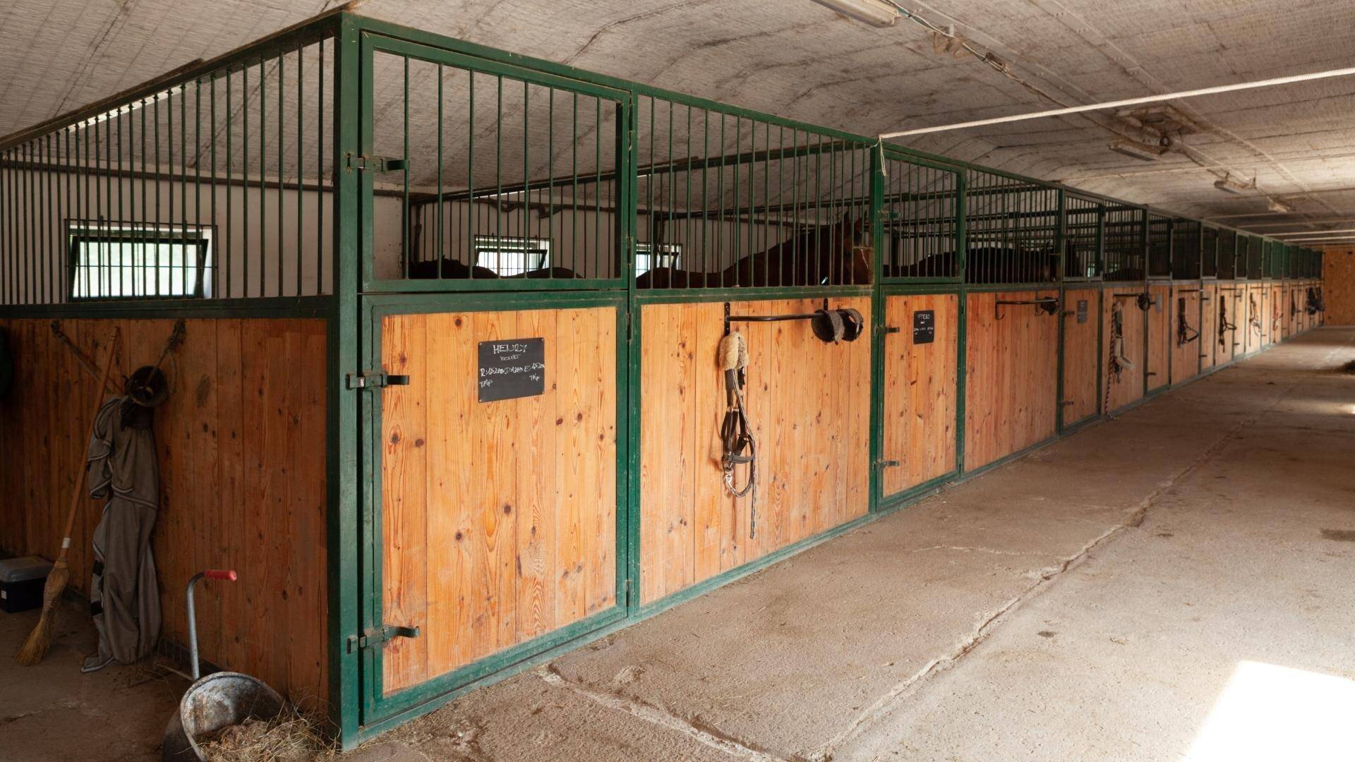 Innenansicht der Stallungen mit mehreren Holzboxen und Metallgittern für Pferde.
