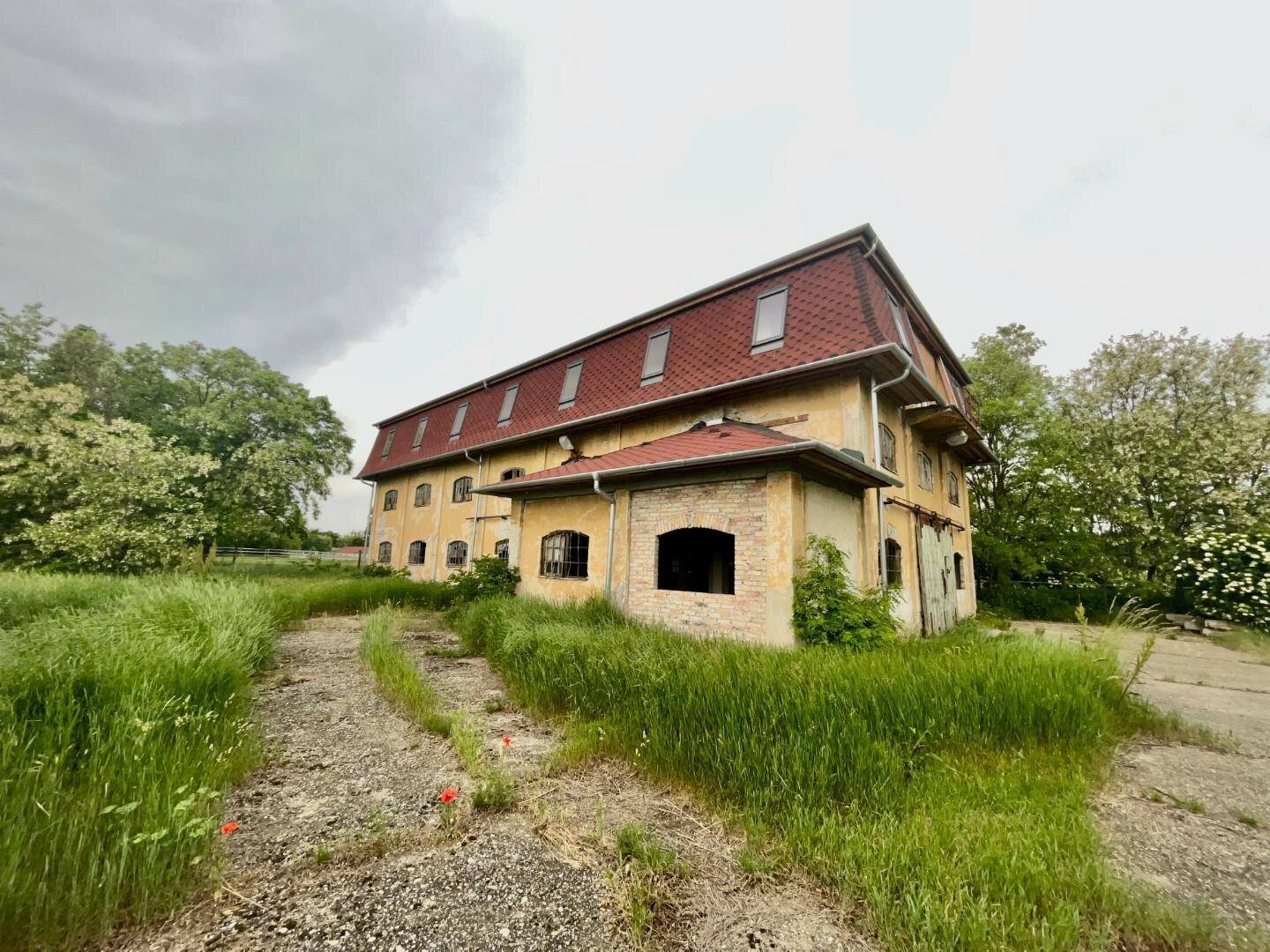 Altes, großes Gebäude mit rotem Mansarddach, vielen Dachfenstern und überwucherter Vegetation.