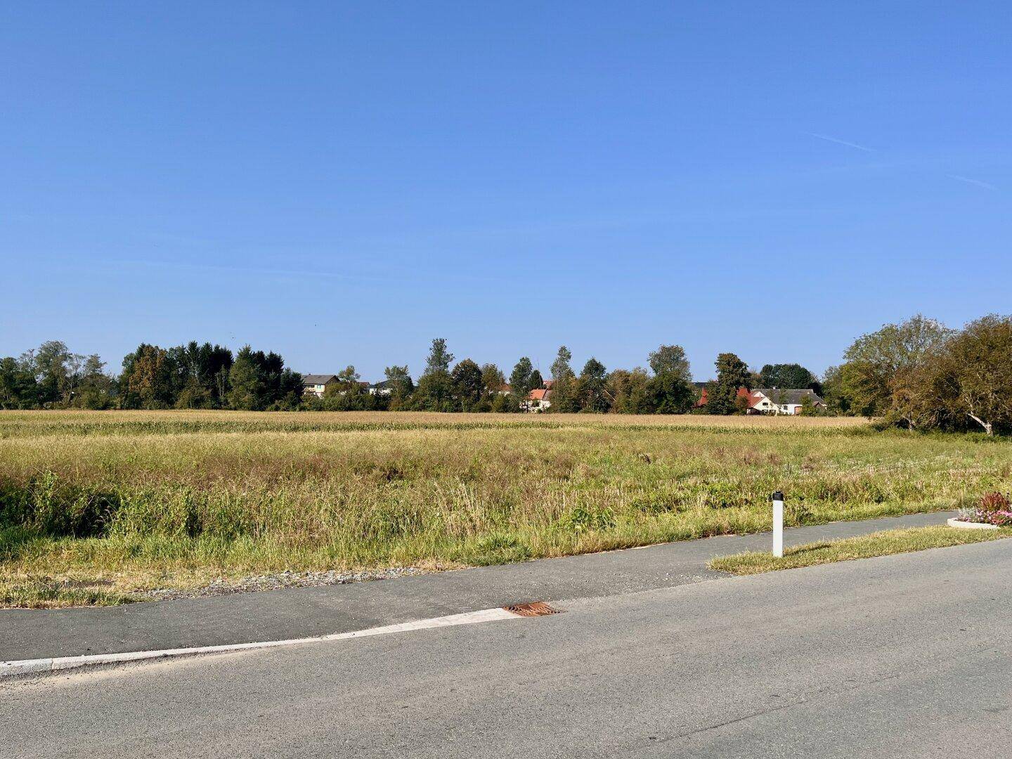 Blick über ein weites Feld auf eine Straße und Häuser in der Ferne unter klarem Himmel.