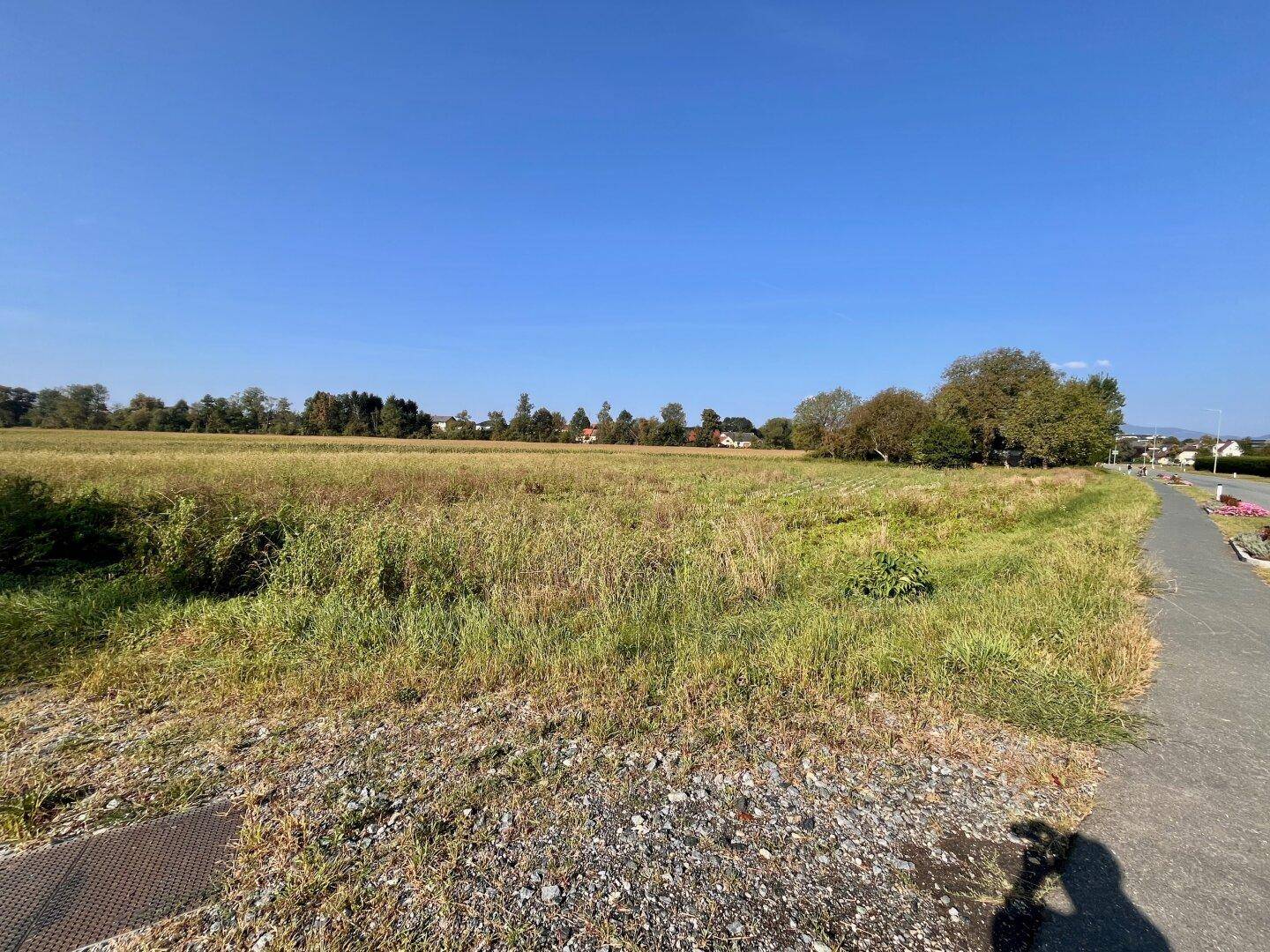 Großes Feld mit hohem Gras und vereinzelten Häusern sowie Bäumen in der Ferne.