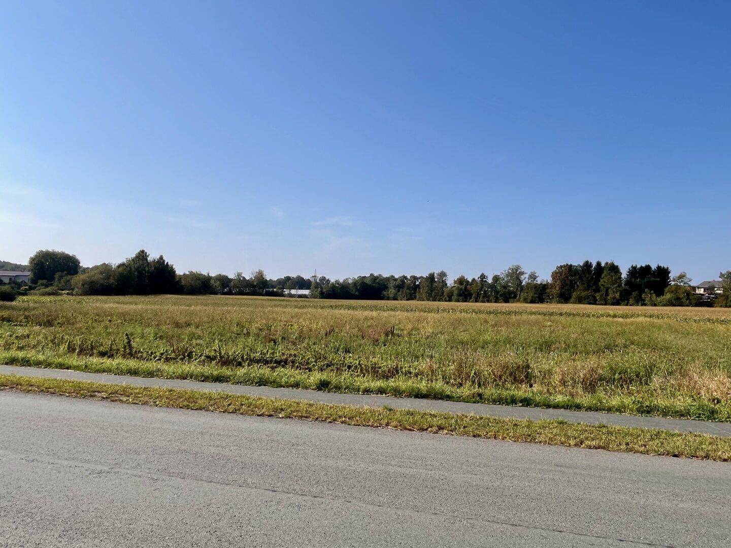 Blick über ein weites Feld auf eine Straße und eine Baumreihe mit Gebäuden im Hintergrund.