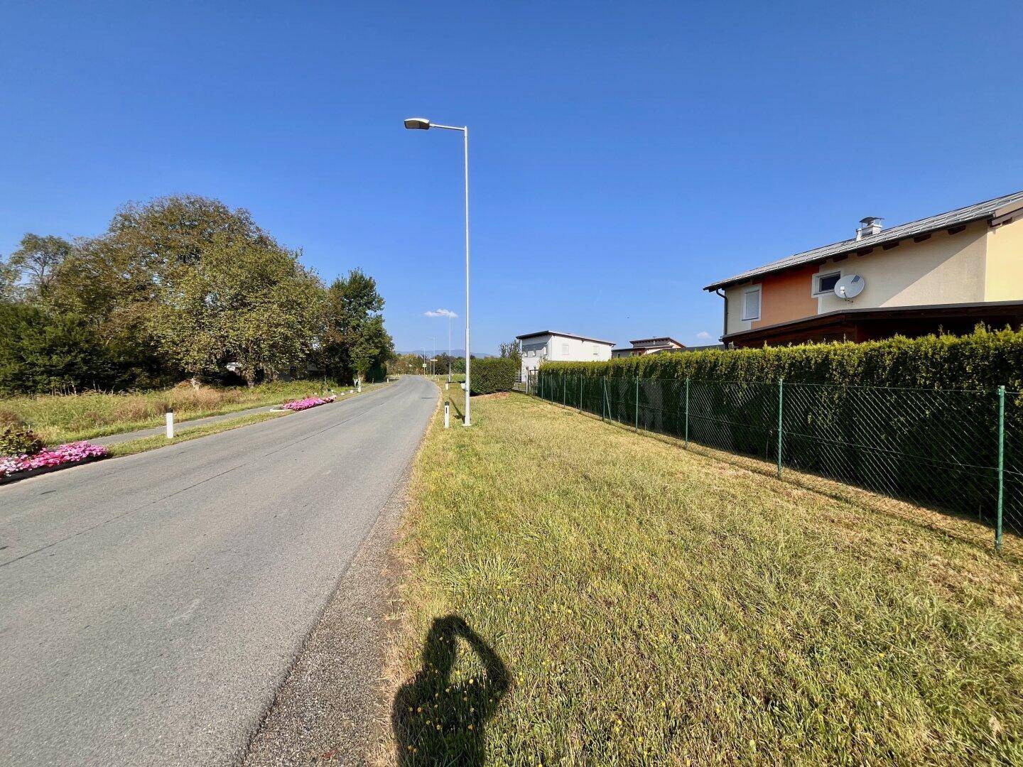 Landstraße mit gepflegter Hecke, einem Wohnhaus und einer Straßenlaterne unter blauem Himmel.