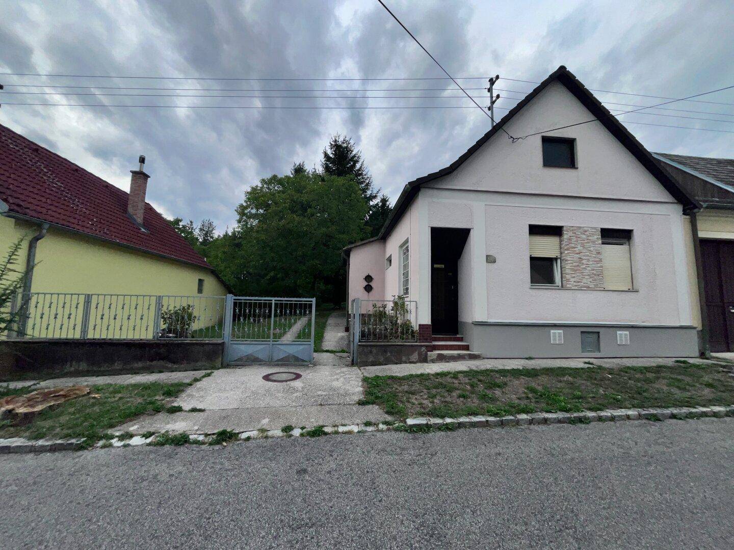 Straßenansicht + Garteneinfahrt