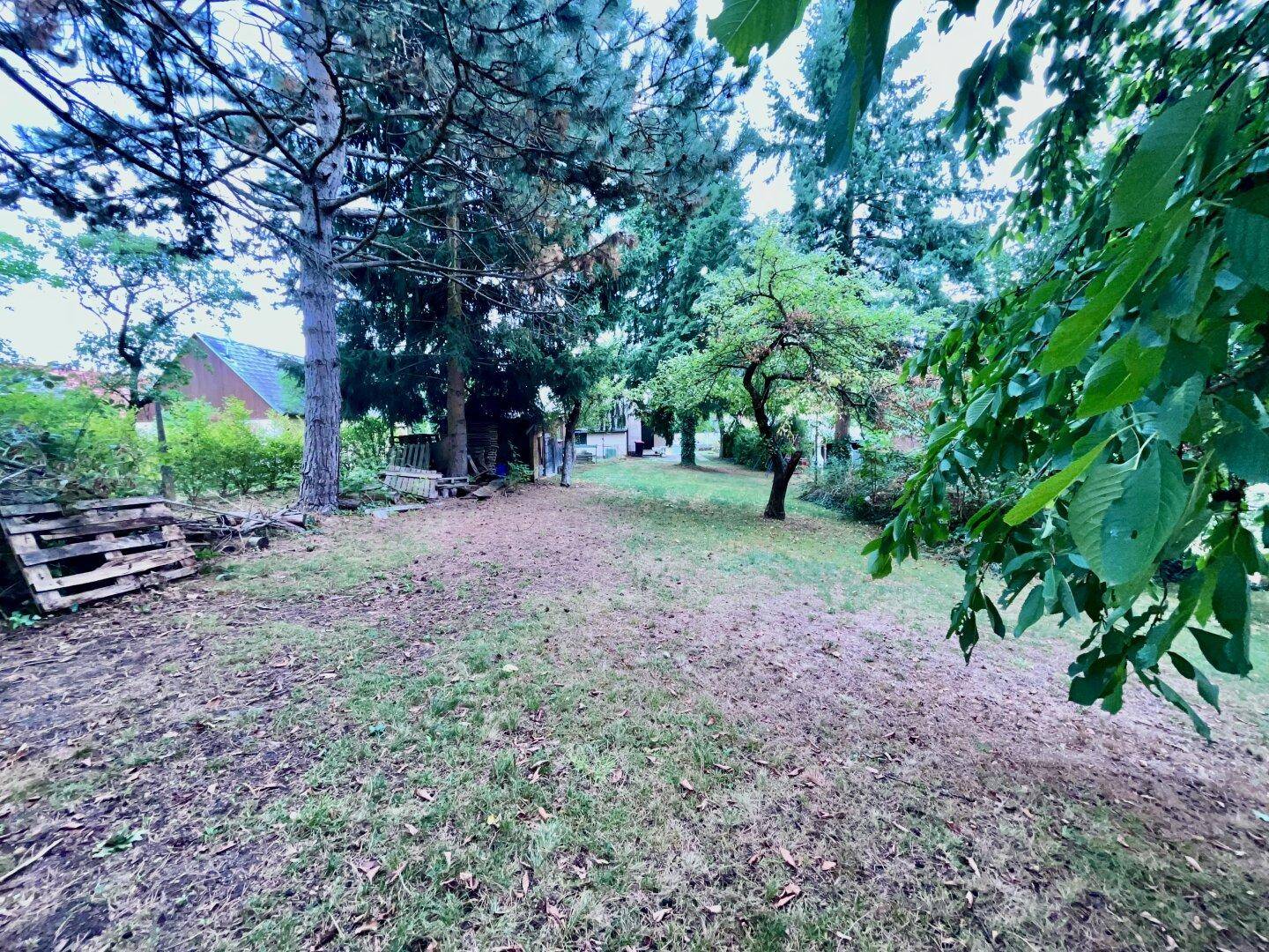 Garten Richtung Haus