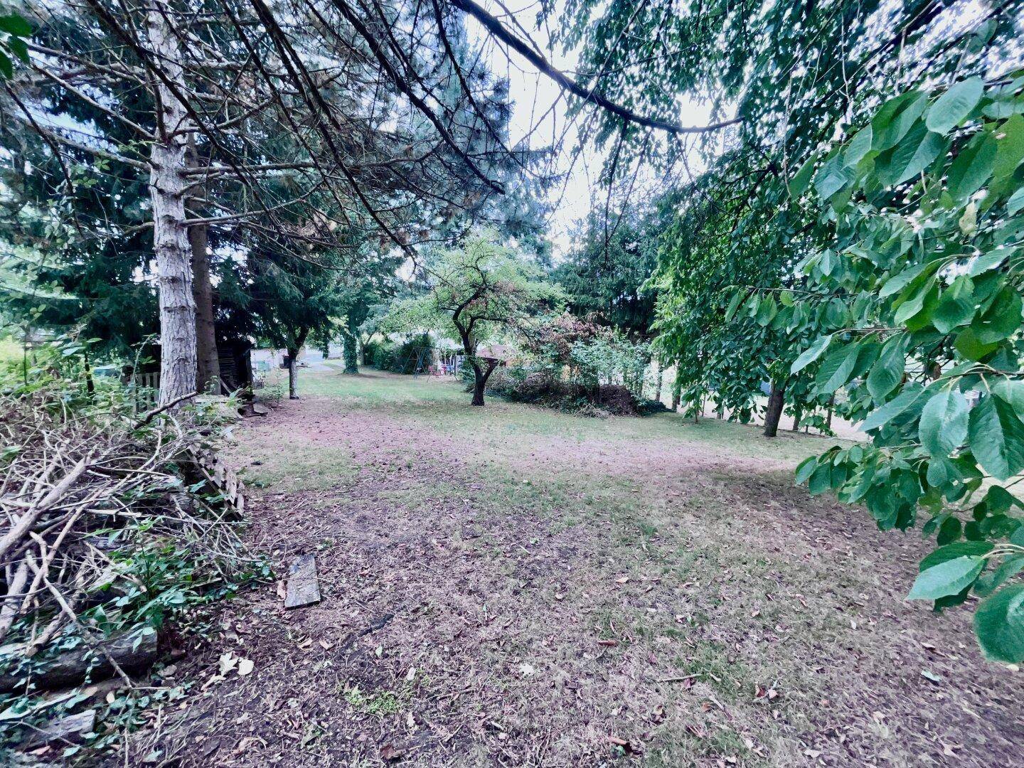 Garten rückwärtiger Teil