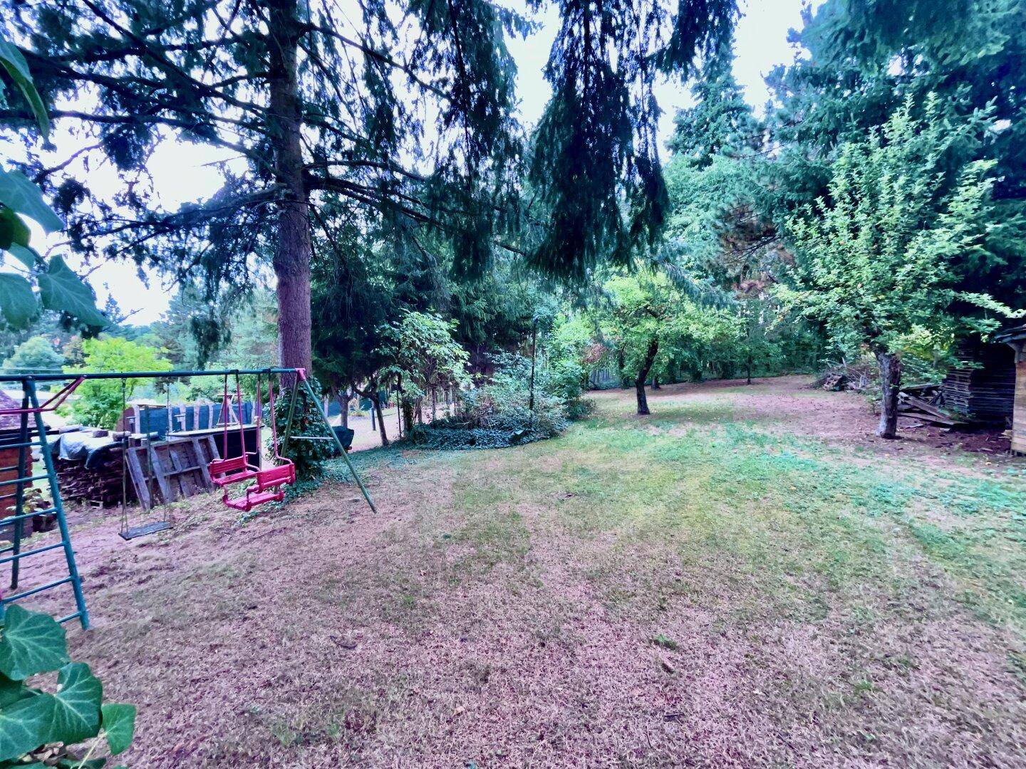 Garten vom Haus aus gesehen