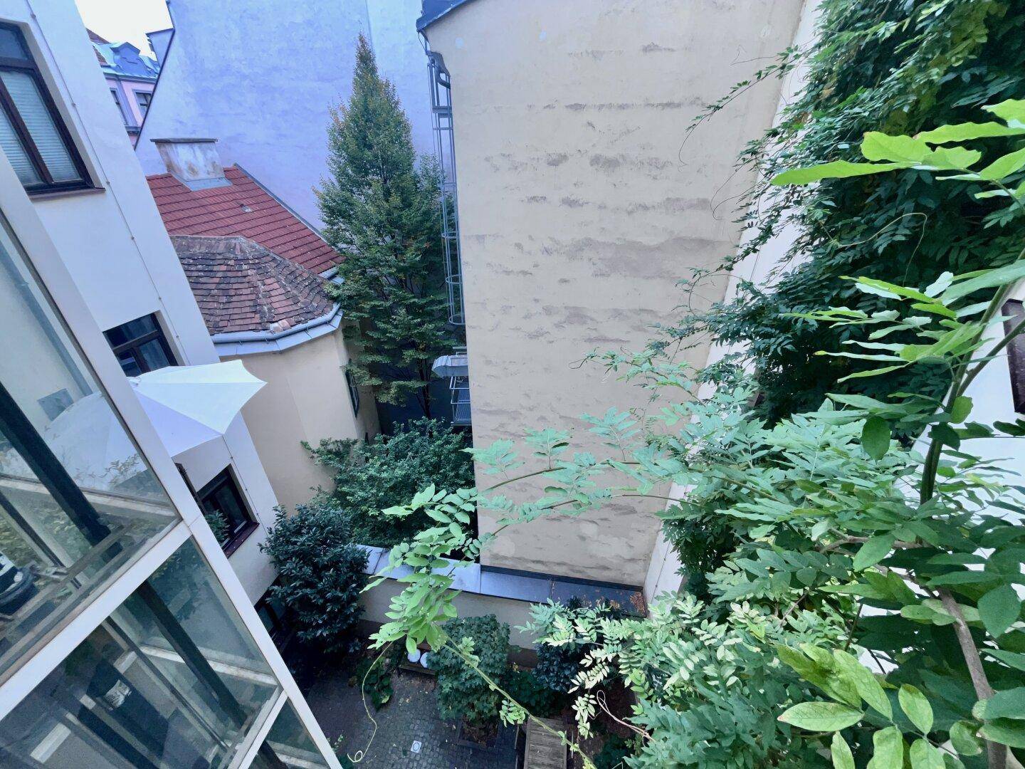 Ausblick Vorzimmer