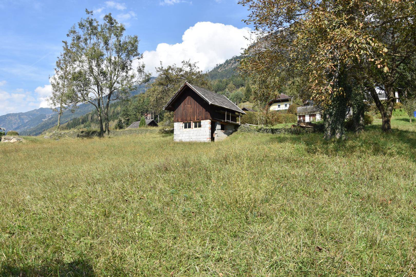 Feld für Pferde oder Schafe