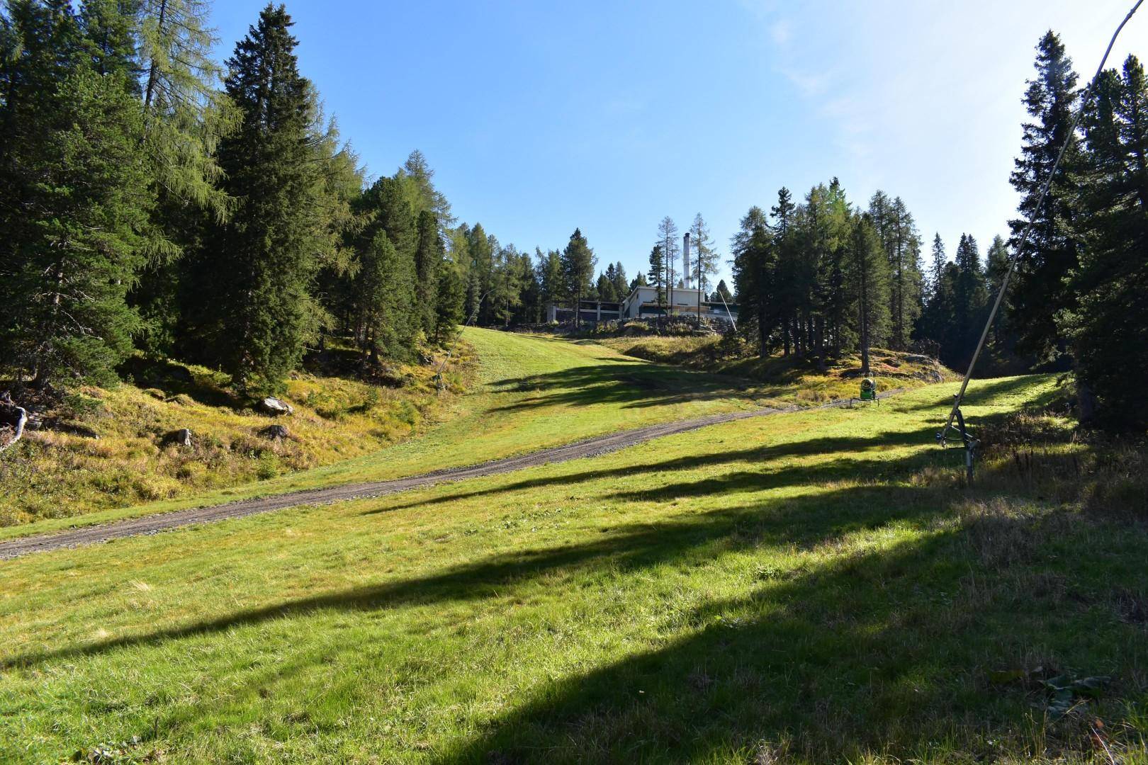 Märchenwaldpiste - auch im Sommer schön