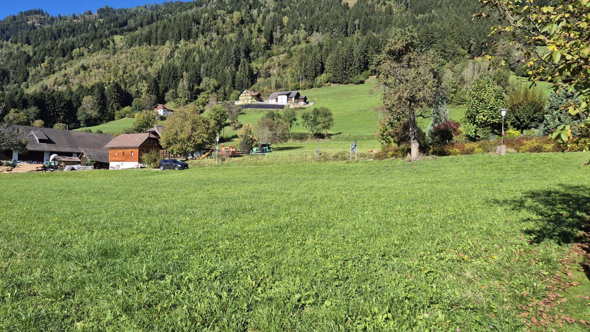 Grundstück Richtung Norden