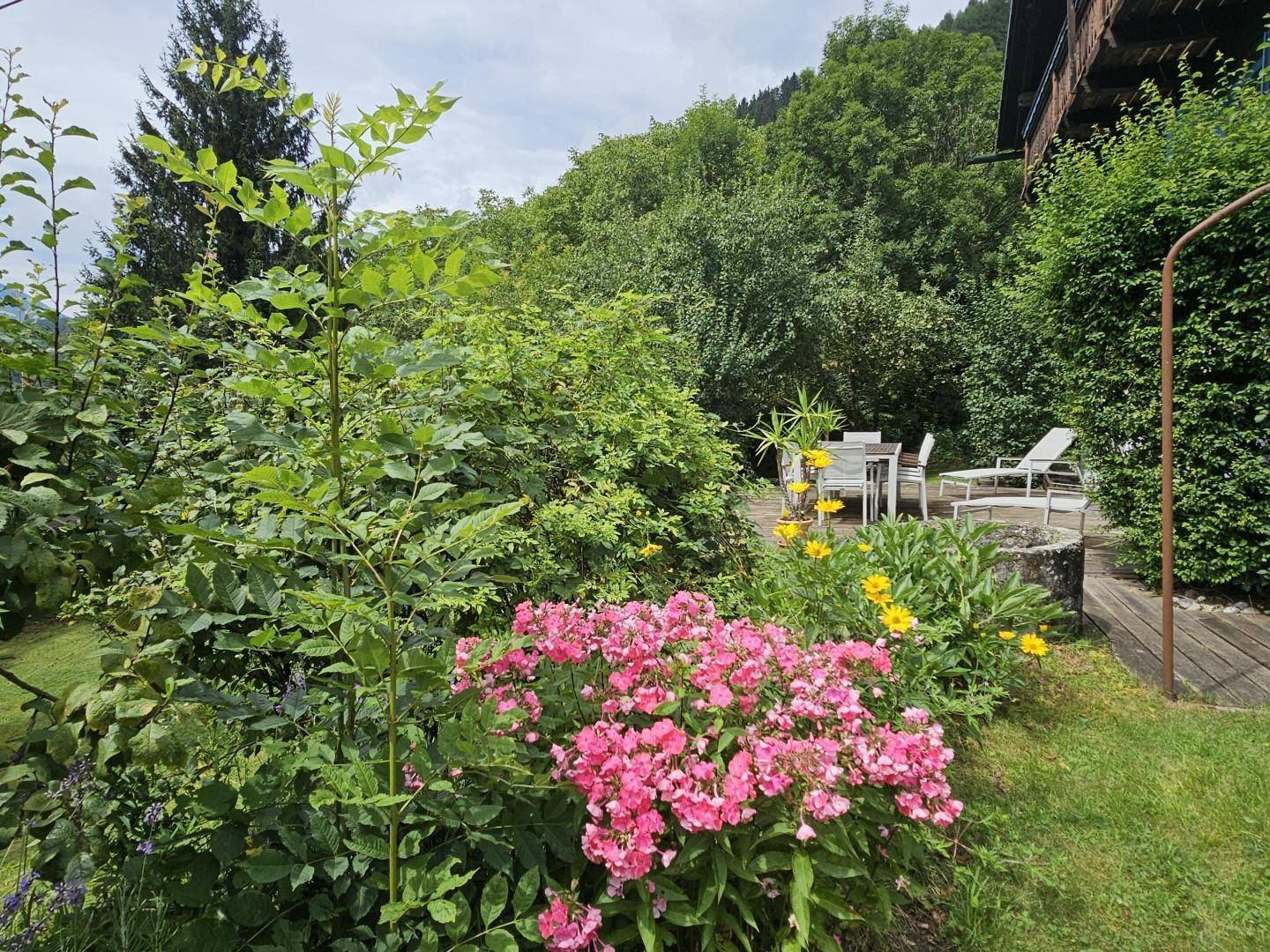 die typischen Bauerngartenblumen