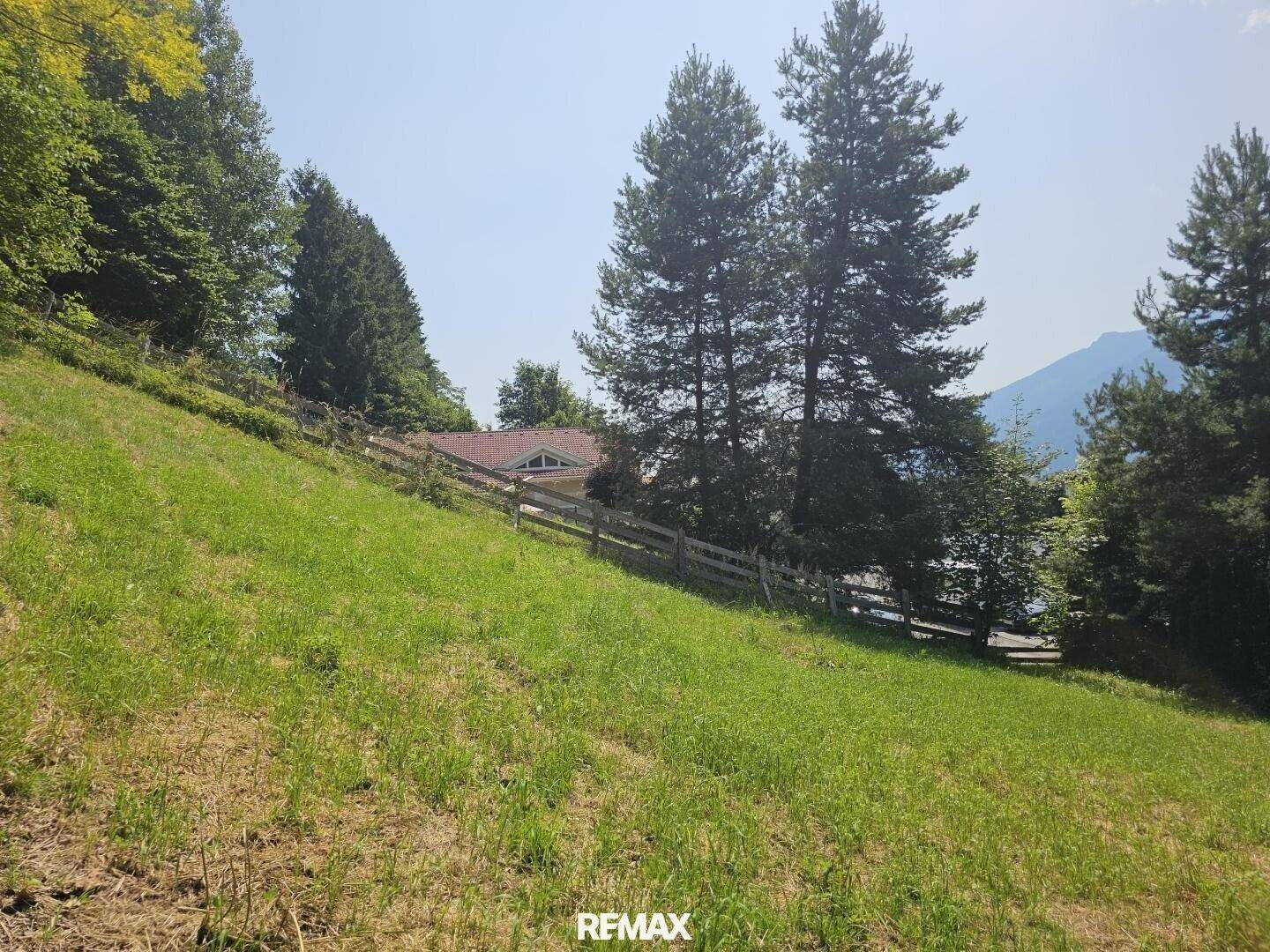 Grüne Hanglage mit Bäumen und einem Blick auf ein entferntes Hausdach unter blauem Himmel.