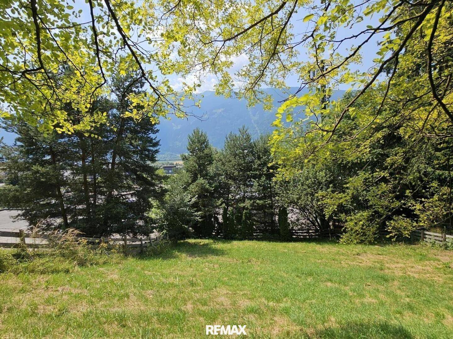 Malerischer Ausblick auf die Berglandschaft durch die Blätter der Bäume an einem sonnigen Tag.