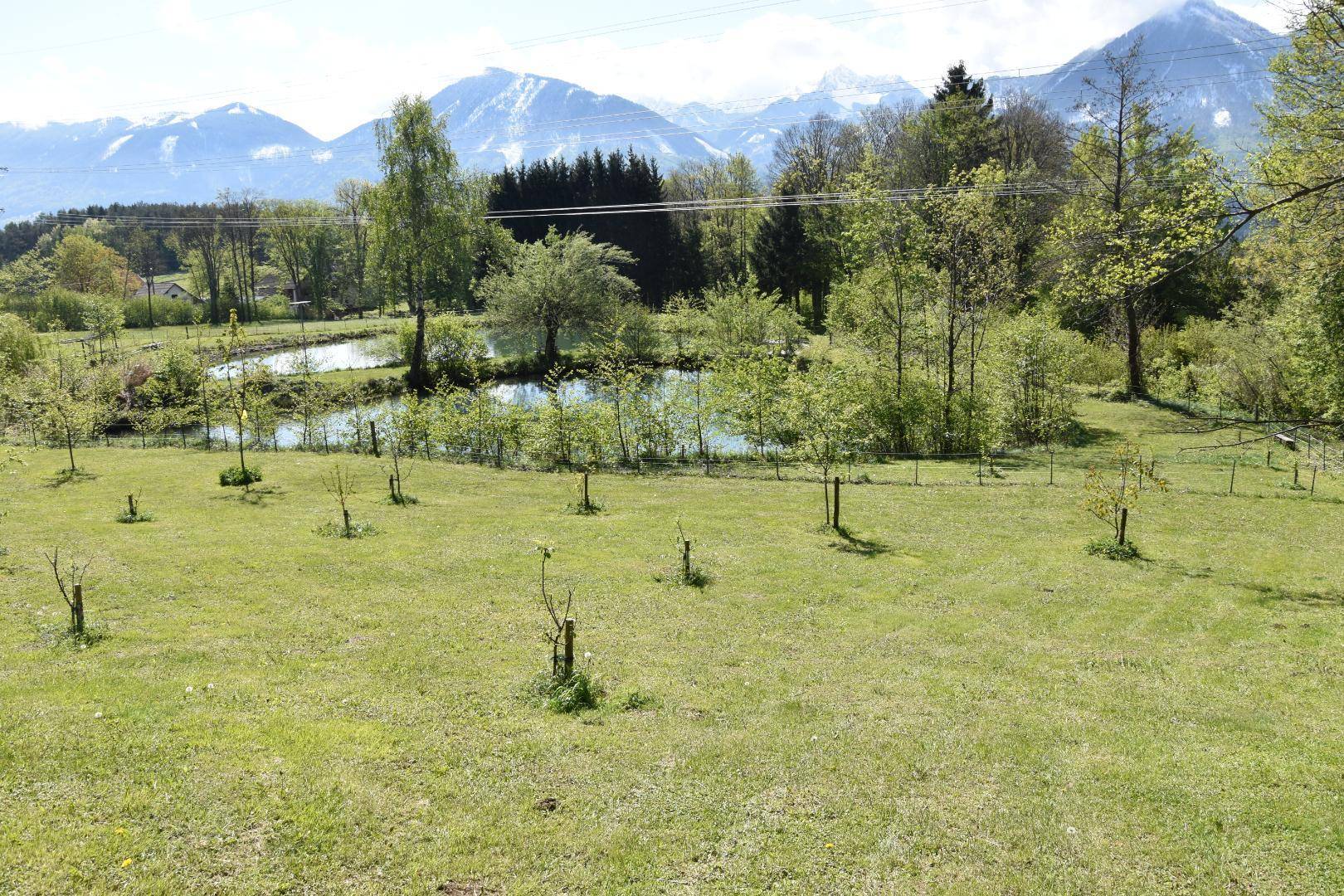 Blick vom Obstgarten