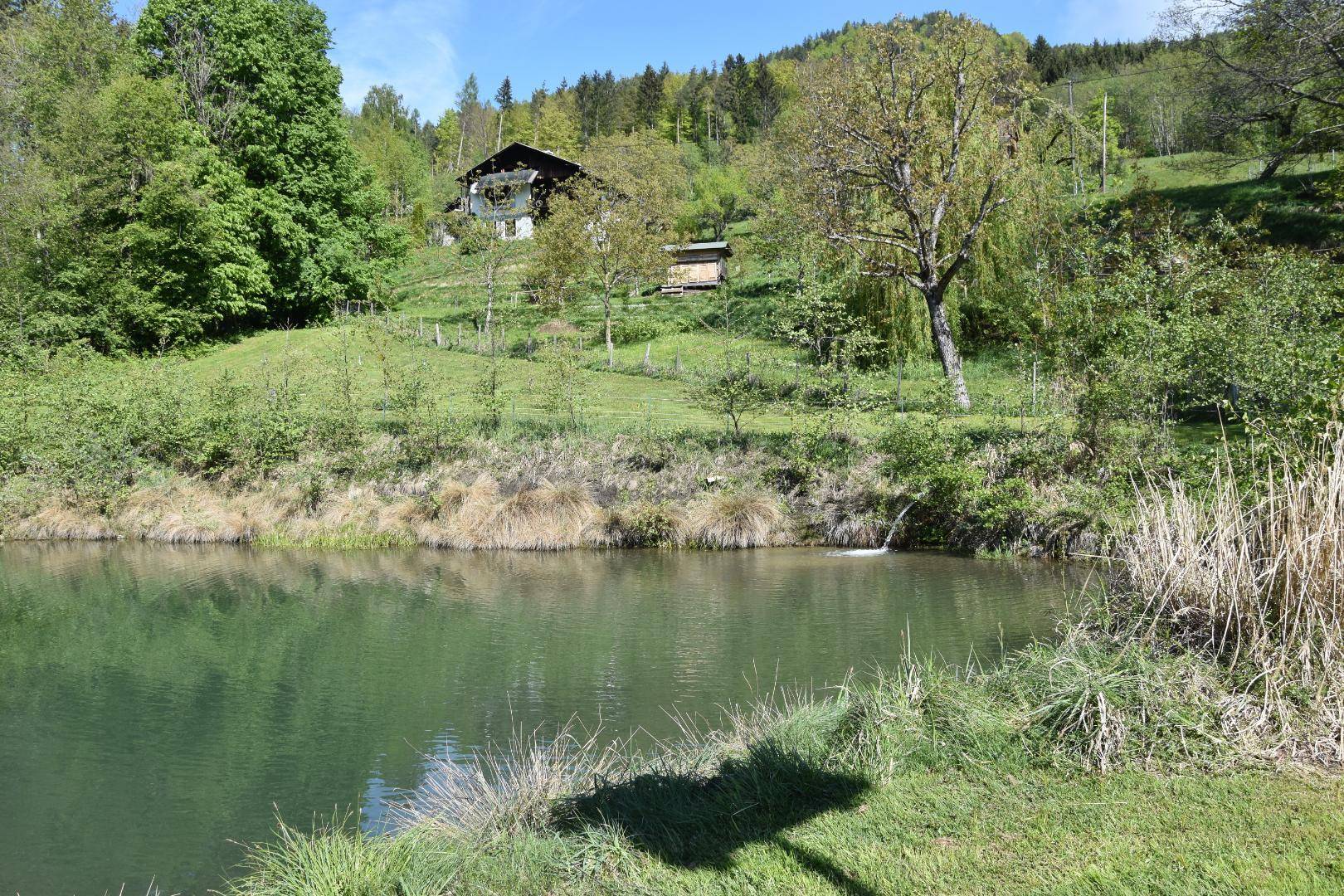 Teich mit Obstgarten