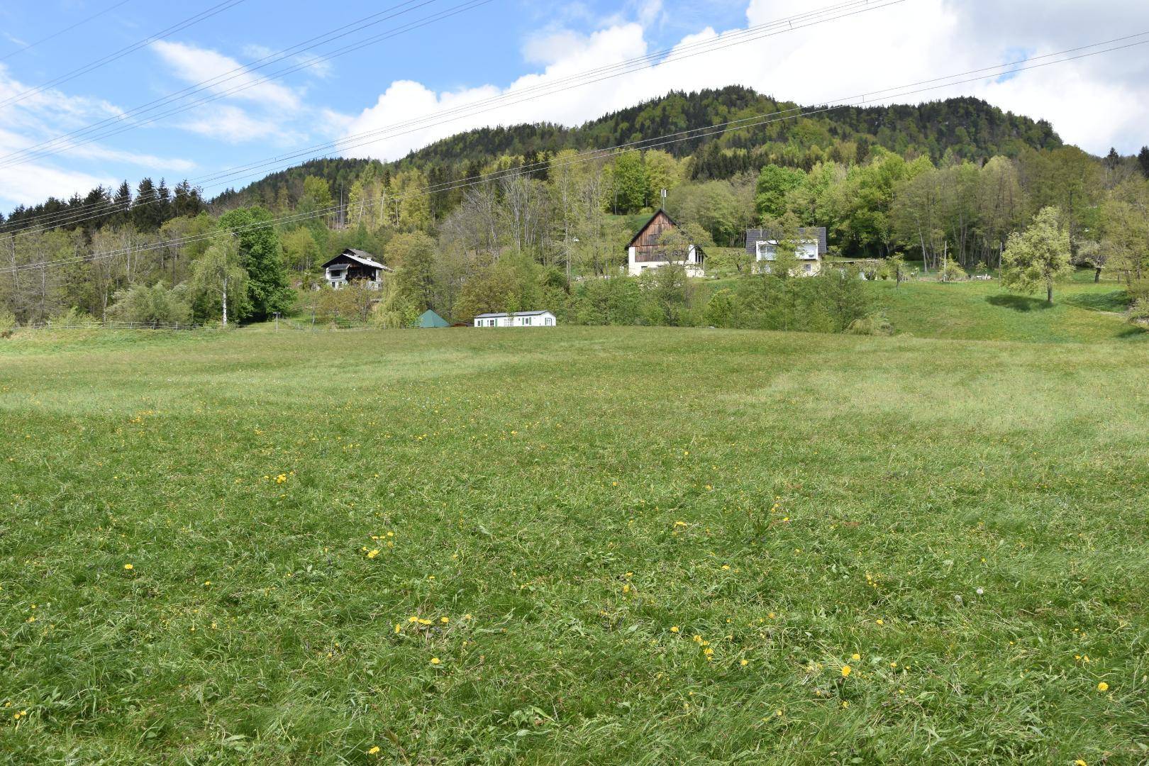 Blick über die Wiese