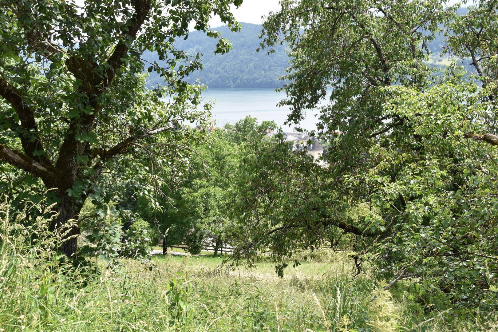 Seeblick