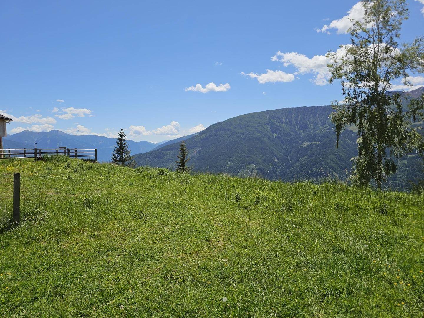 eben und saftig grün