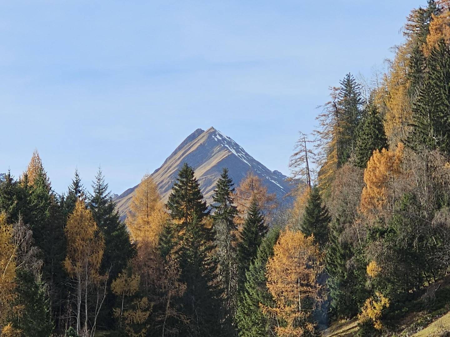 Ausblick