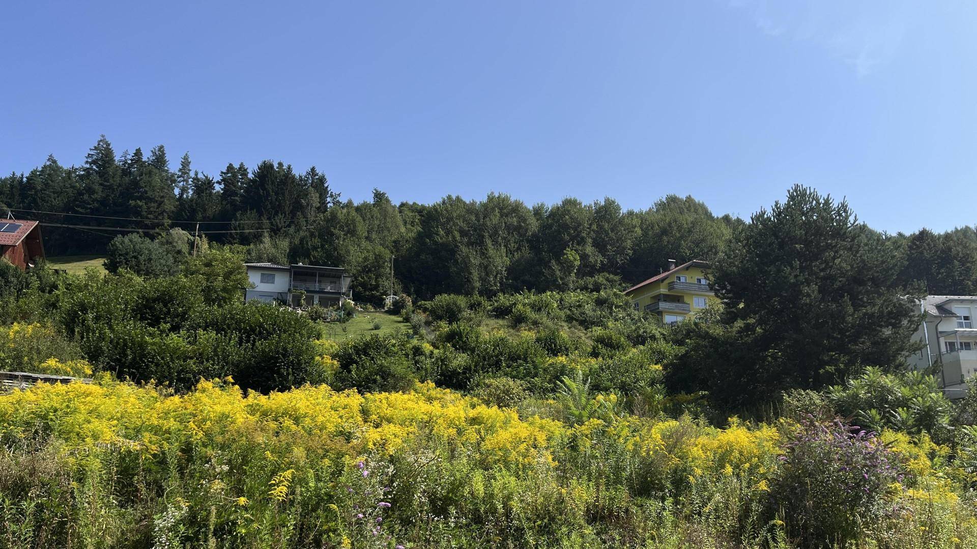 Grundstück