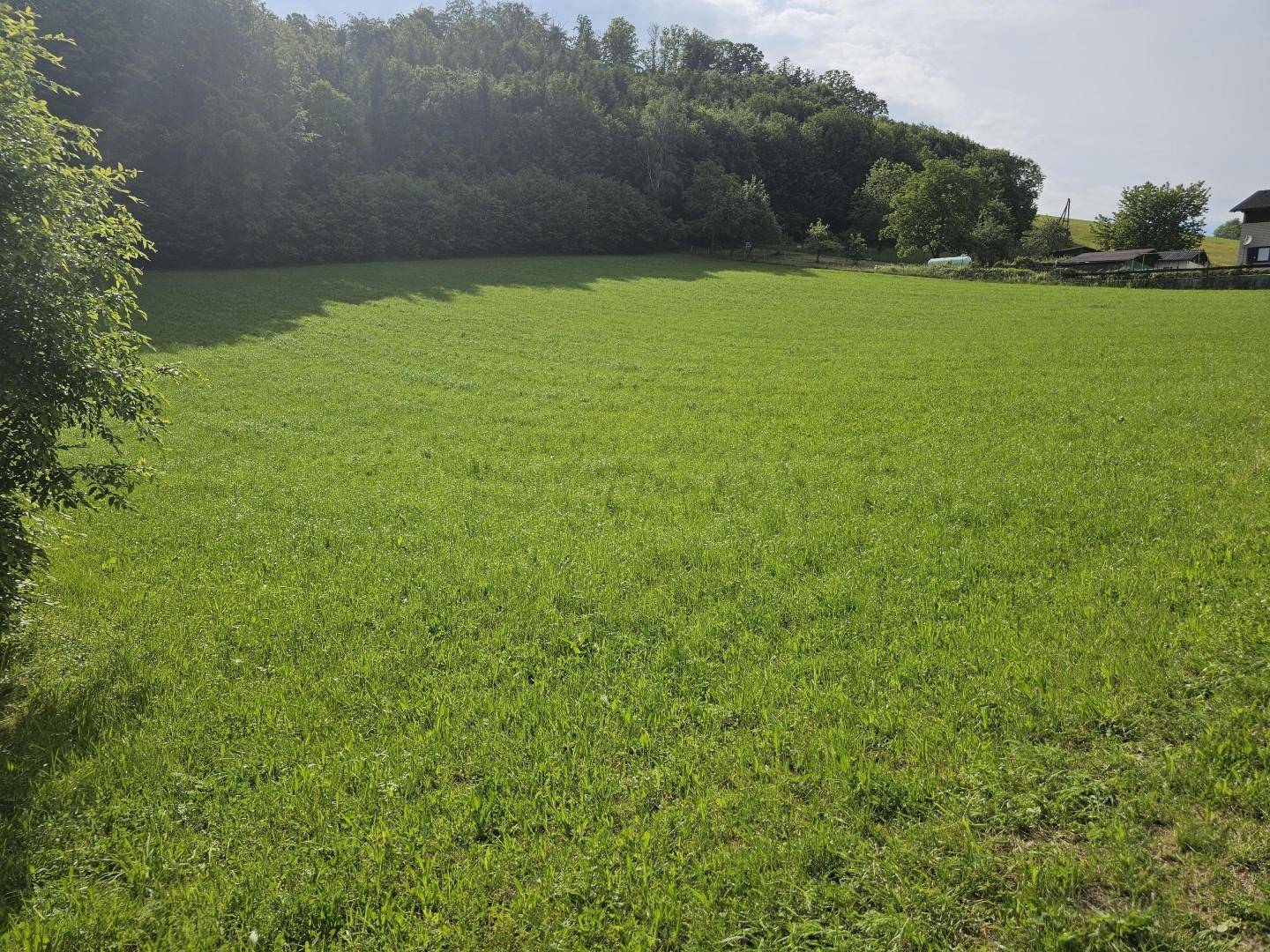 leichte Hanglage