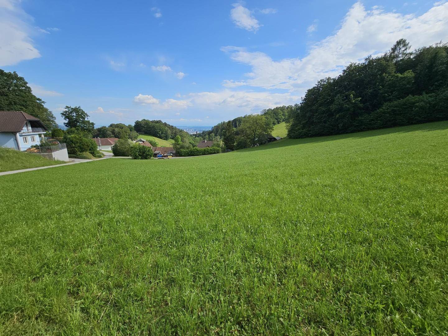 kleines Wohngebiet im Grünen