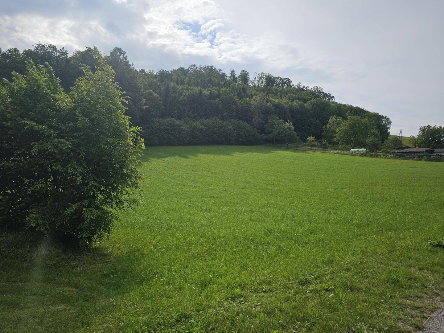 leichte Hanglage