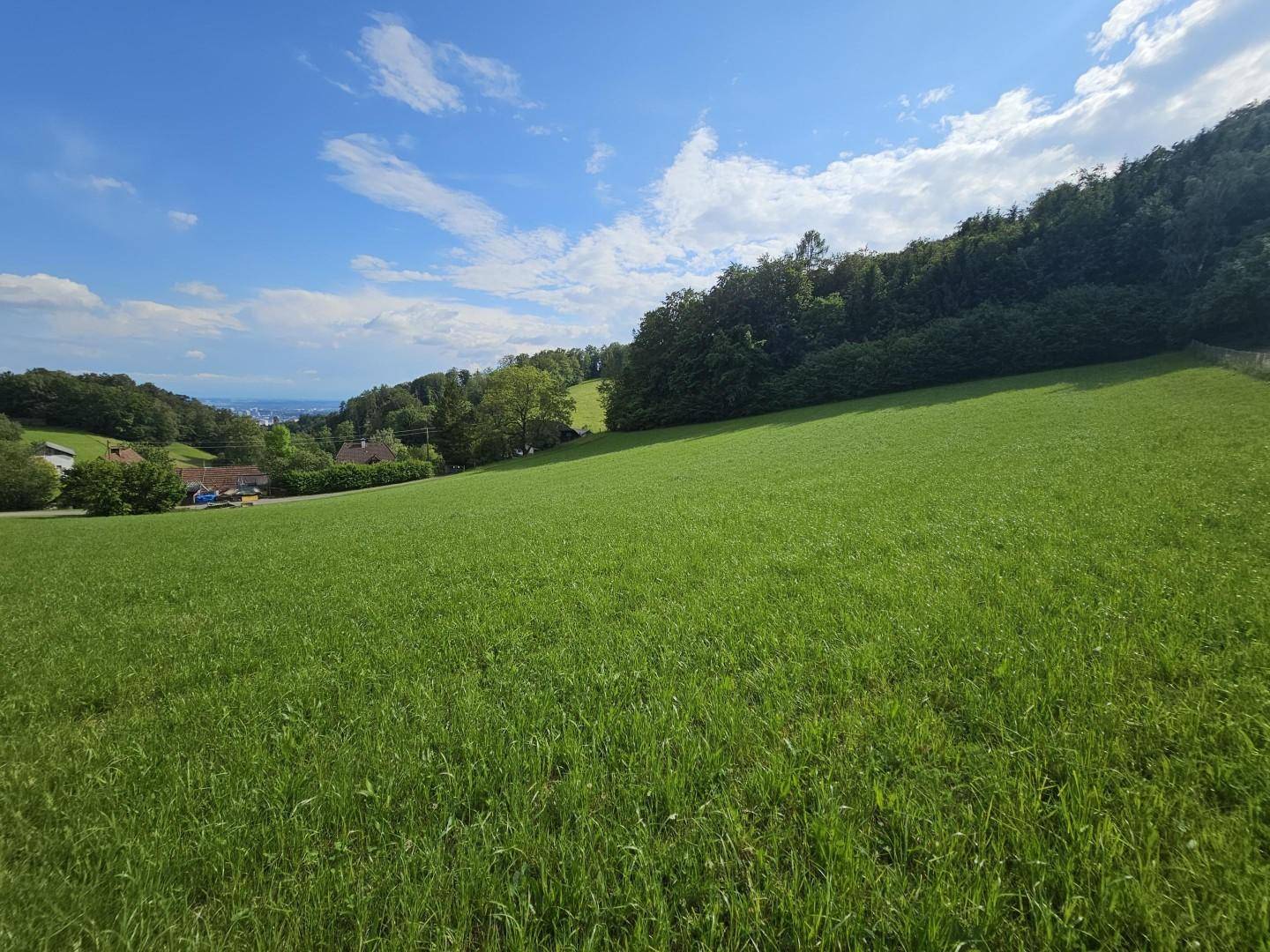 lockeres Siedlungsgebiet am Standort
