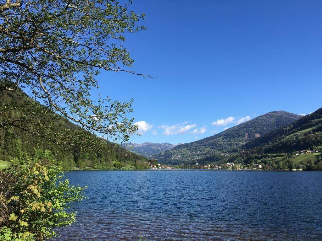 Schönheit pur
