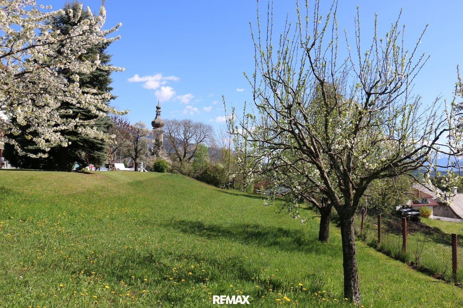 Heller grüner Gartenhang mit blühenden Bäumen und einem Kirchturm in der Ferne unter blauem Himmel.