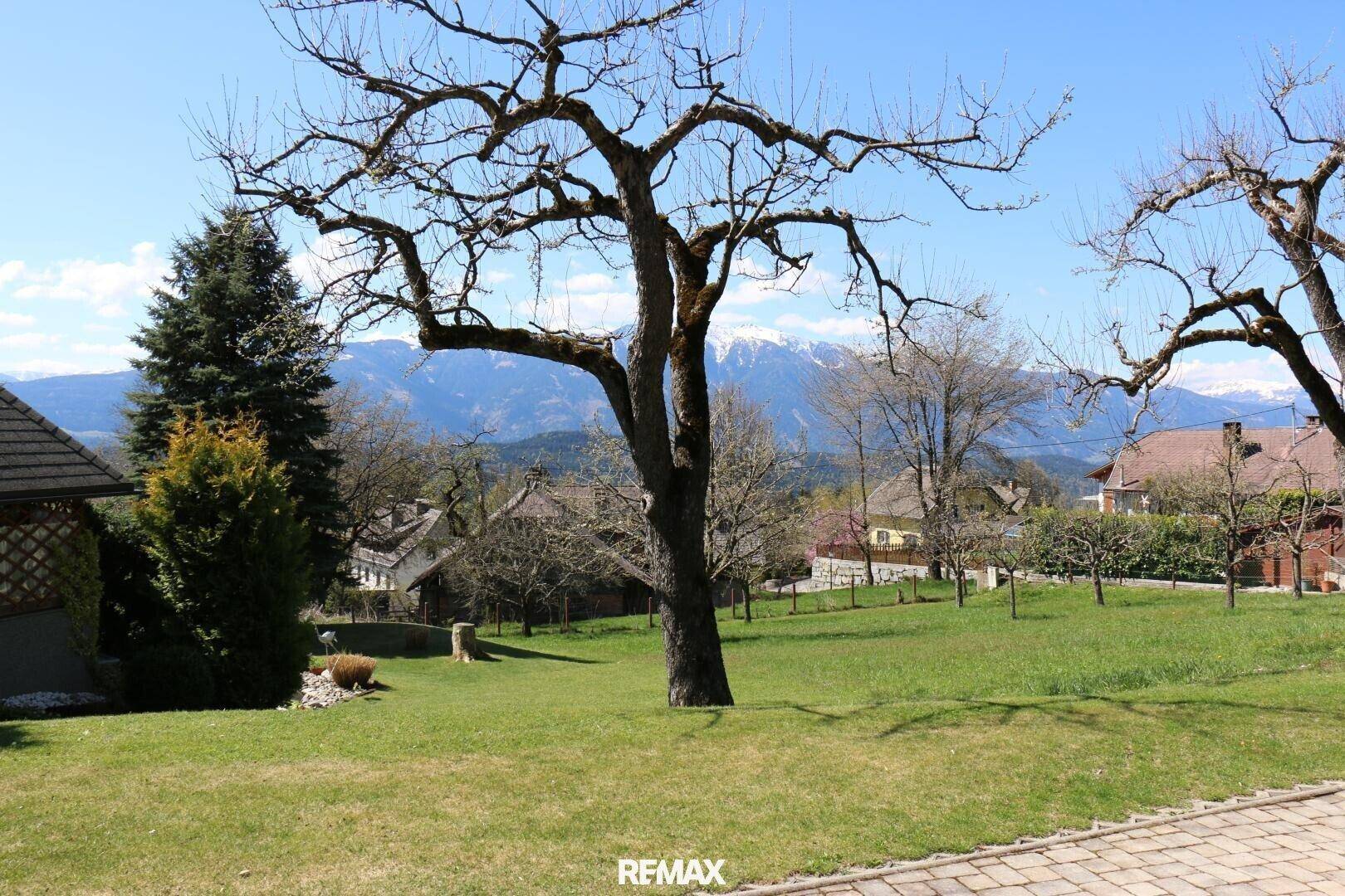 Großer grüner Garten mit altem Baum und Panoramablick auf die schneebedeckten Berge und Häuser.