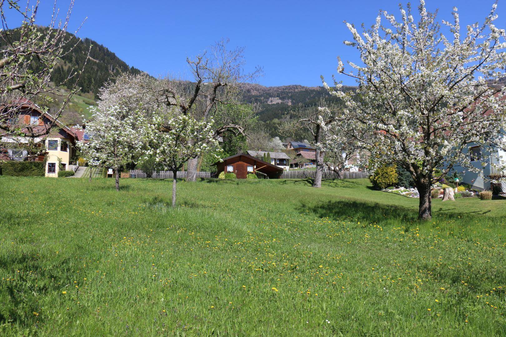 Blick nach Norden