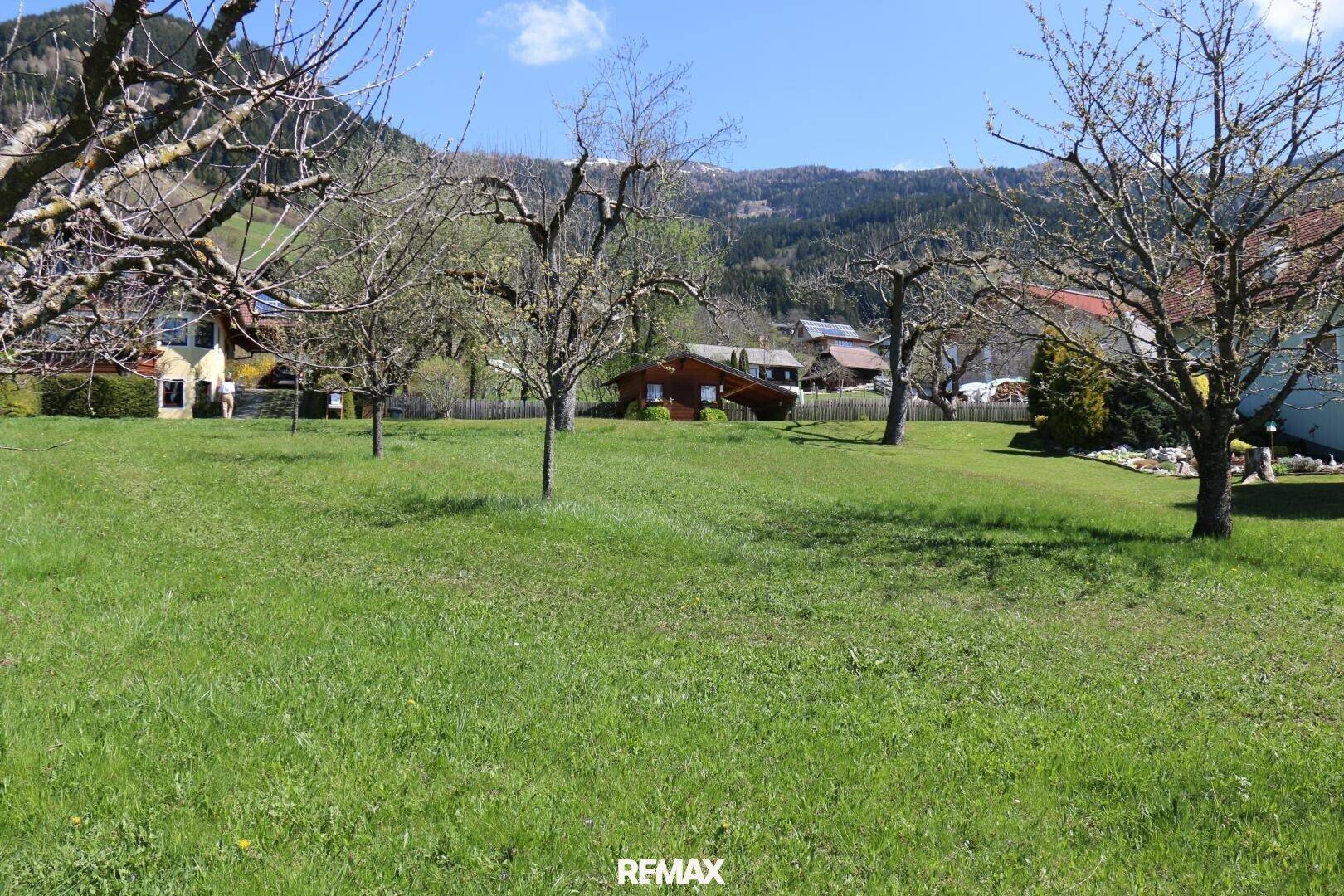 Sonniger grüner Gartenbereich mit jungen Bäumen und Häusern im Hintergrund, umgeben von Hügeln.