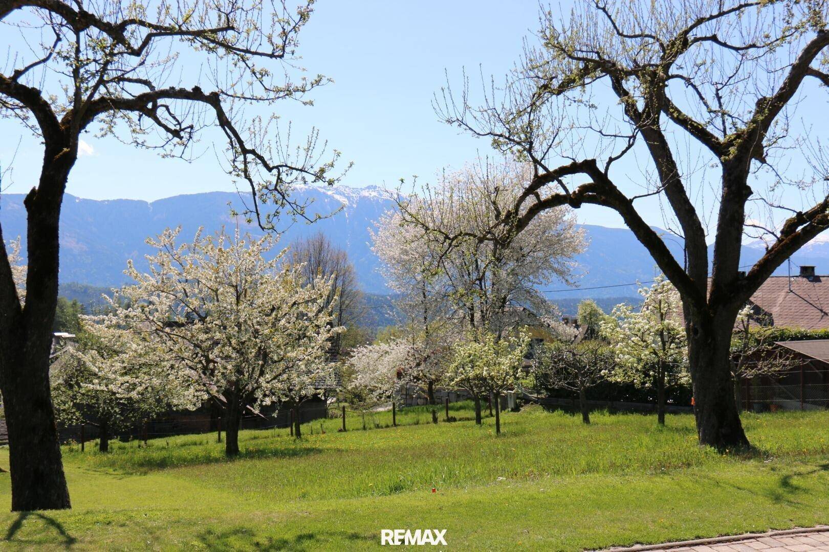 Malerischer grüner Garten mit blühenden Obstbäumen und einem weiten Blick auf die schneebedeckten Berge.