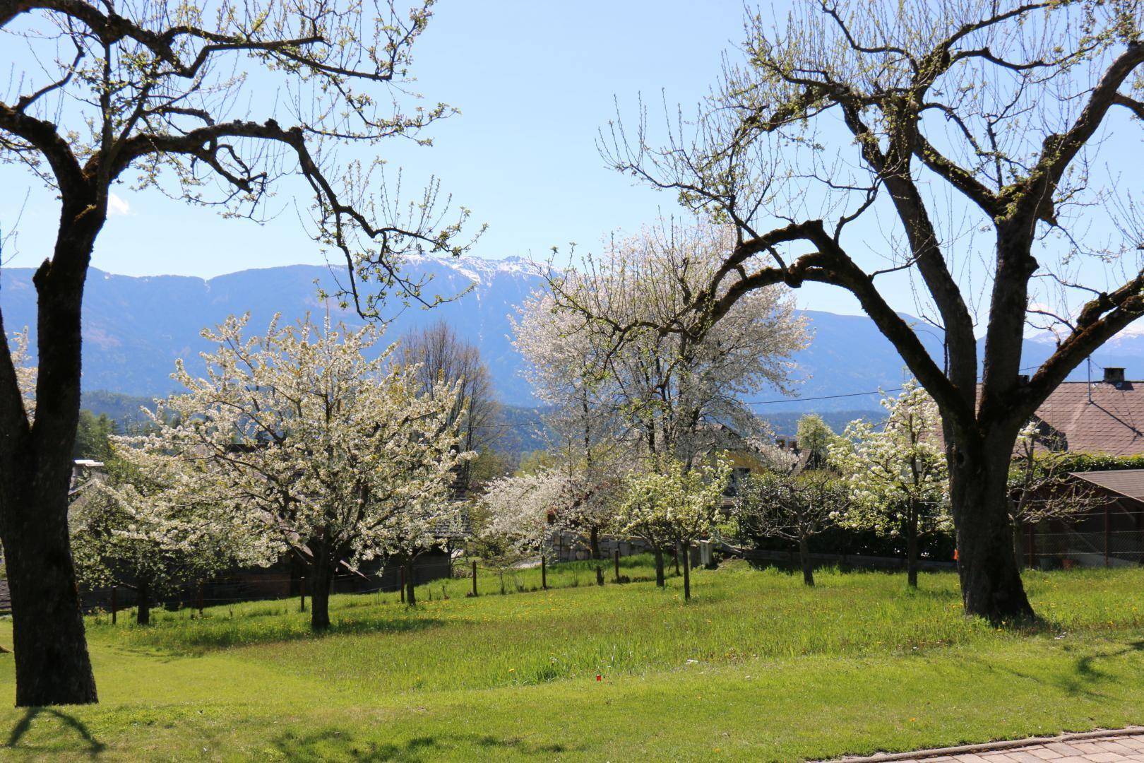 Blick nach Süden