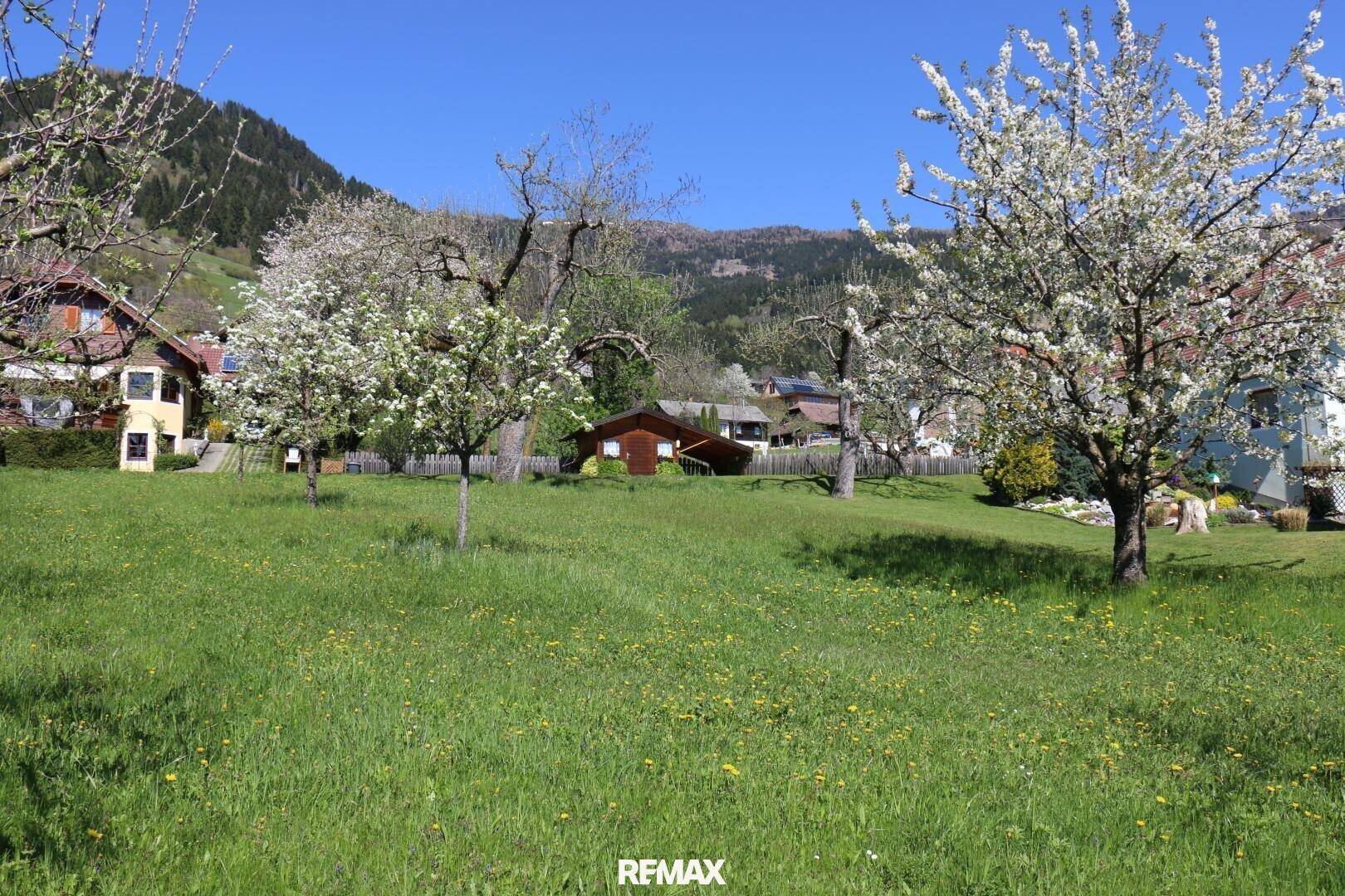 Heller grüner Garten mit blühenden Bäumen und Häusern, umgeben von sanften Hügeln und Natur.
