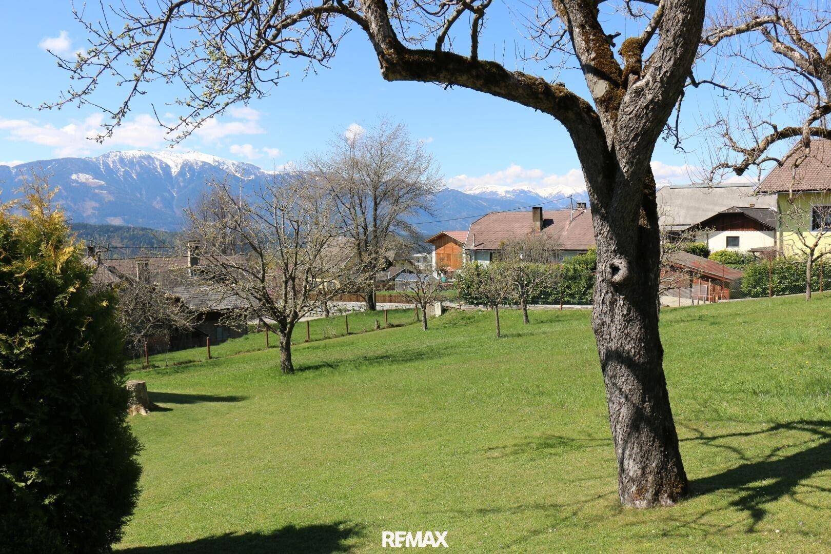 Sonniger grüner Gartenhang mit einem markanten Baum und einem weiten Blick auf die schneebedeckten Berge.