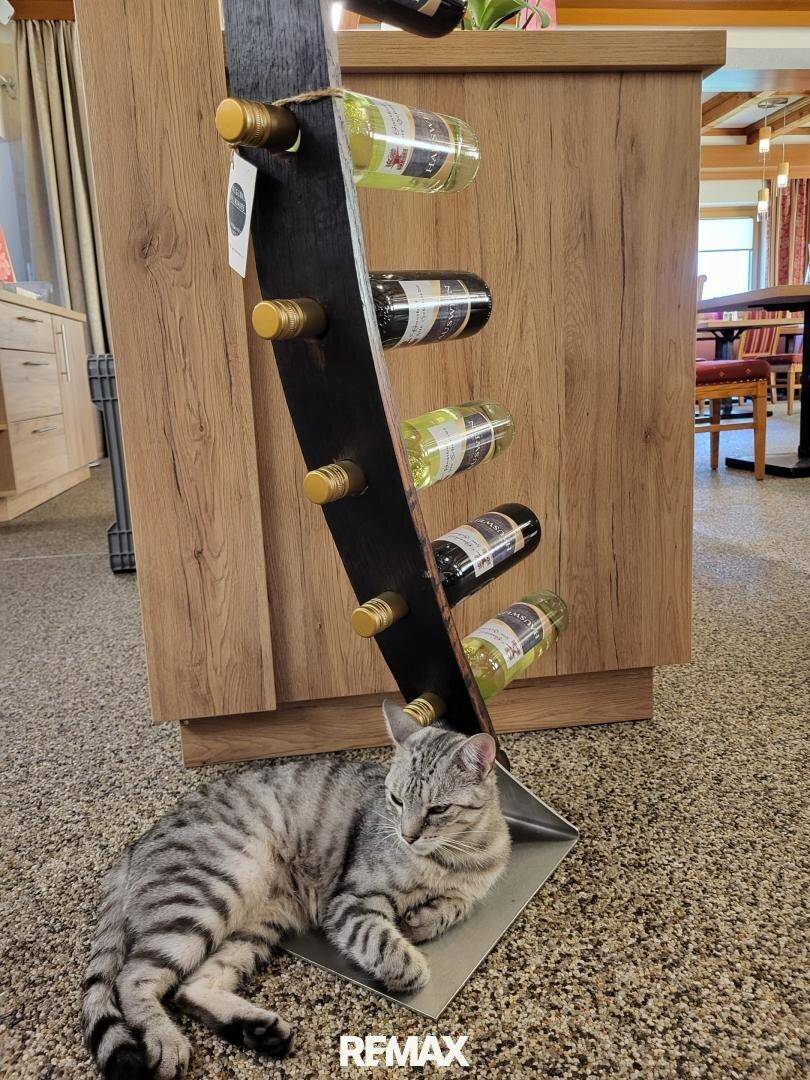 Katze und Wein