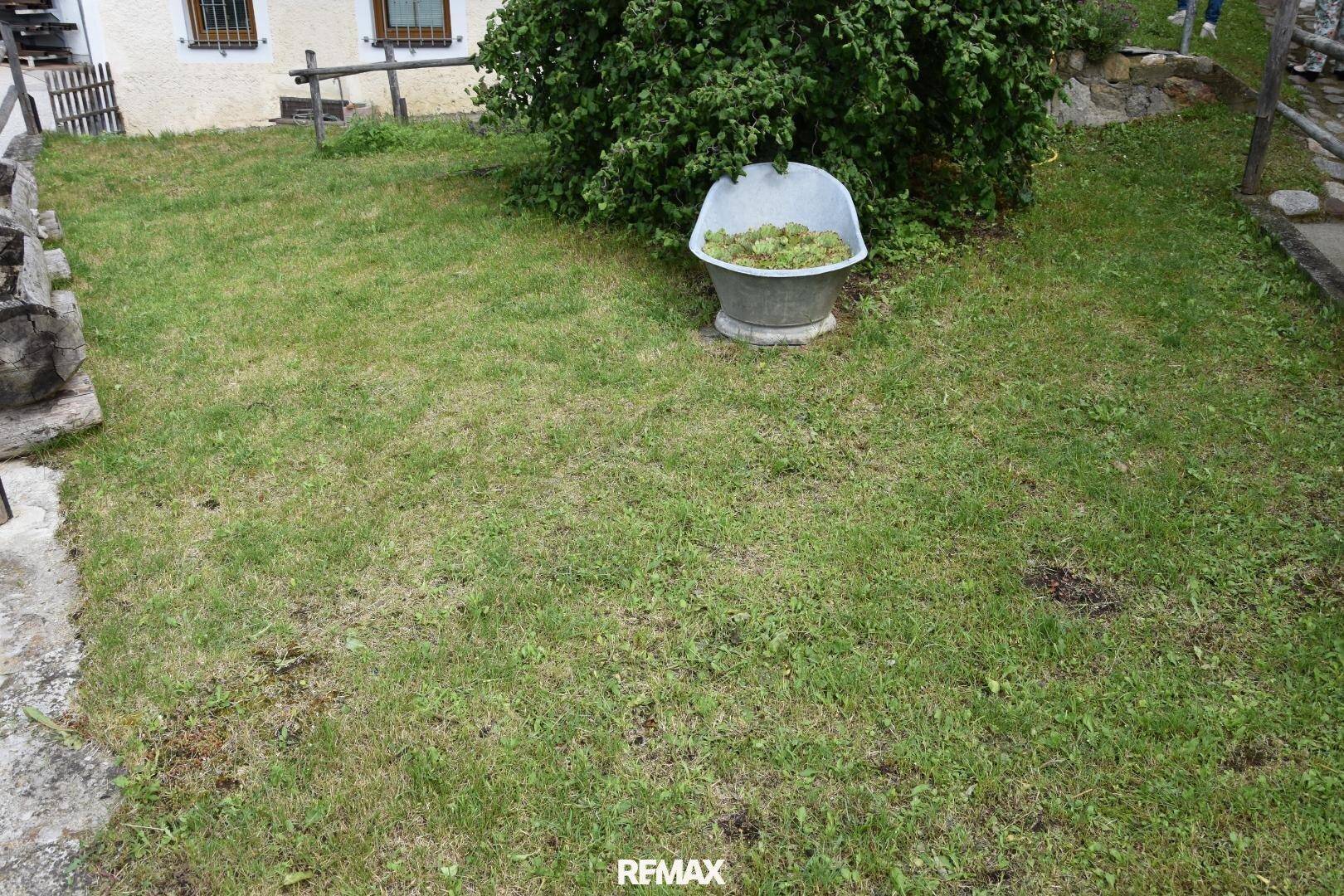 Einfacher Rasenbereich im Garten mit einem dekorativen Bottich unter einem Busch.