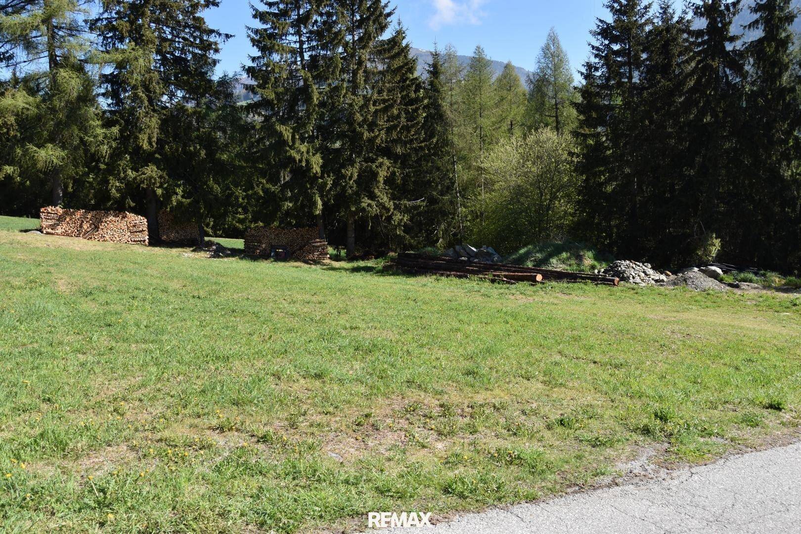 Großes grünes Feld mit gestapeltem Brennholz, umgeben von hohen Bäumen und einer Straße im Vordergrund.