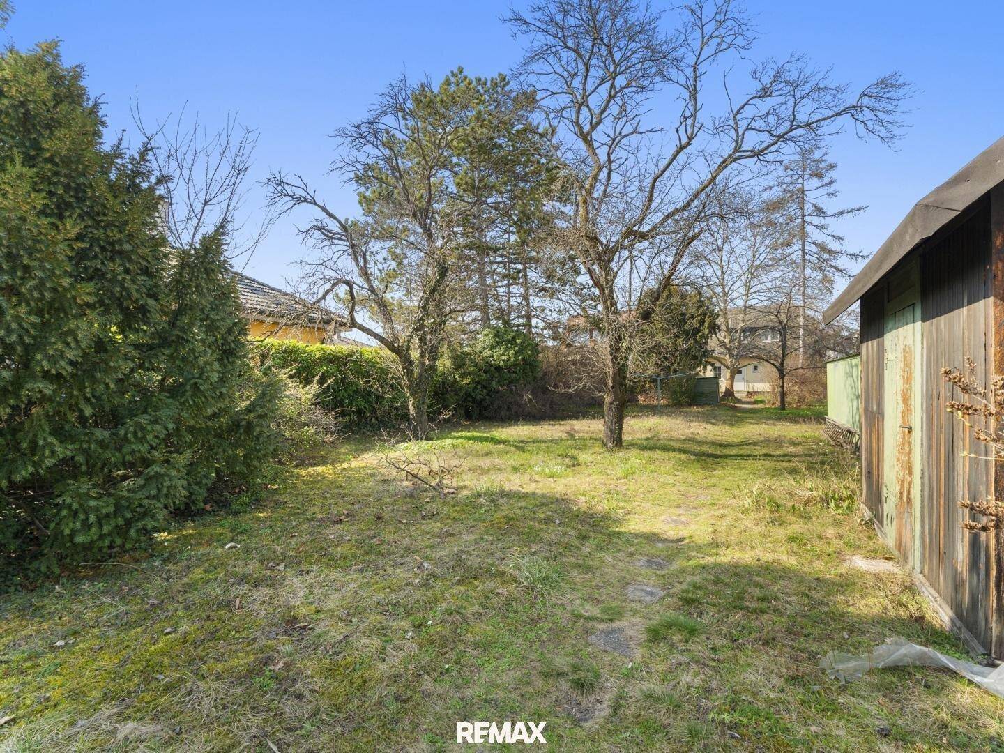 Großer, naturbelassener Gartenbereich mit altem Baumbestand und Rasenfläche hinter dem Haus.