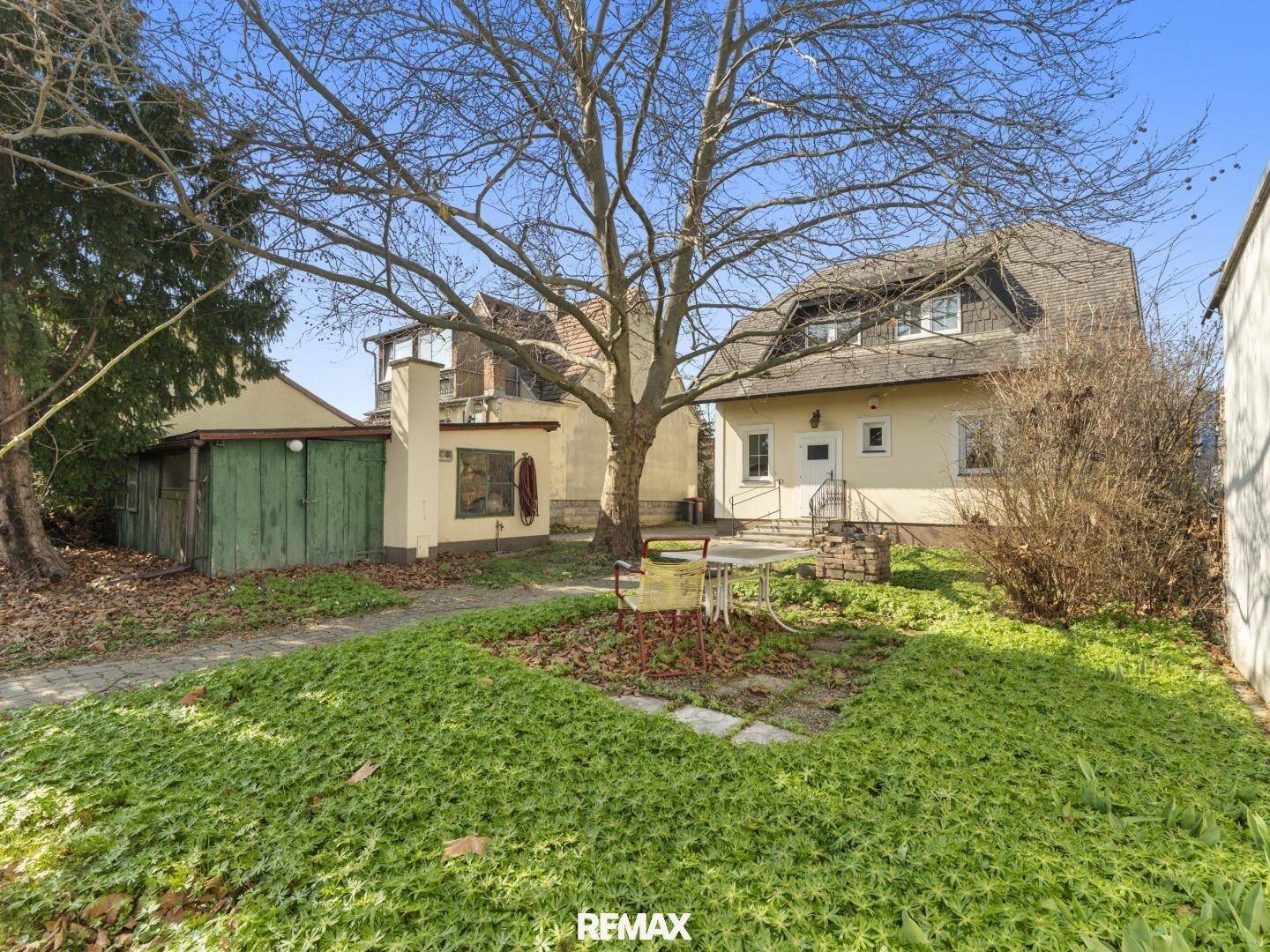 Hinterhofgarten mit Sitzgelegenheit unter einem großen Baum und Blick auf das Wohnhaus.