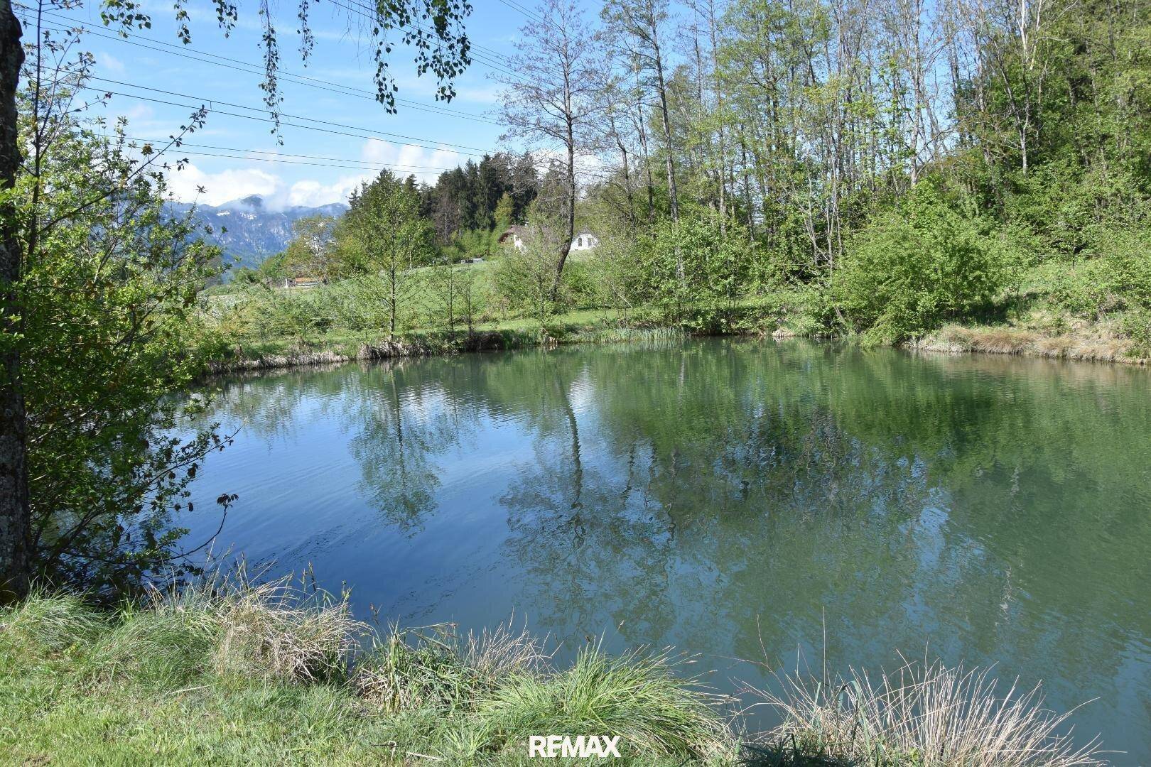 Natürlicher Teich umgeben von üppigem Grün und Bäumen, mit Bergen im Hintergrund unter blauem Himmel.